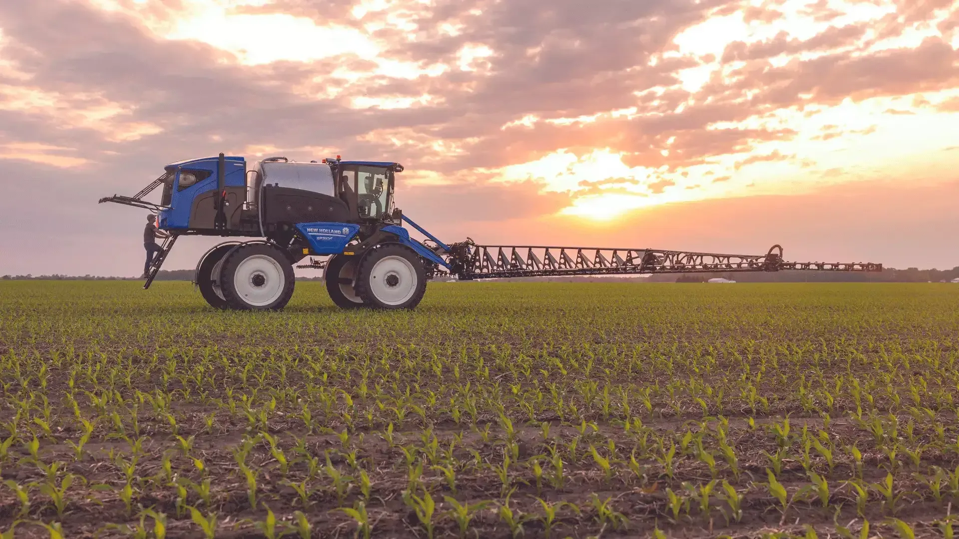 imgi_10_465eac814e804fe6b32029cc98b1f19e