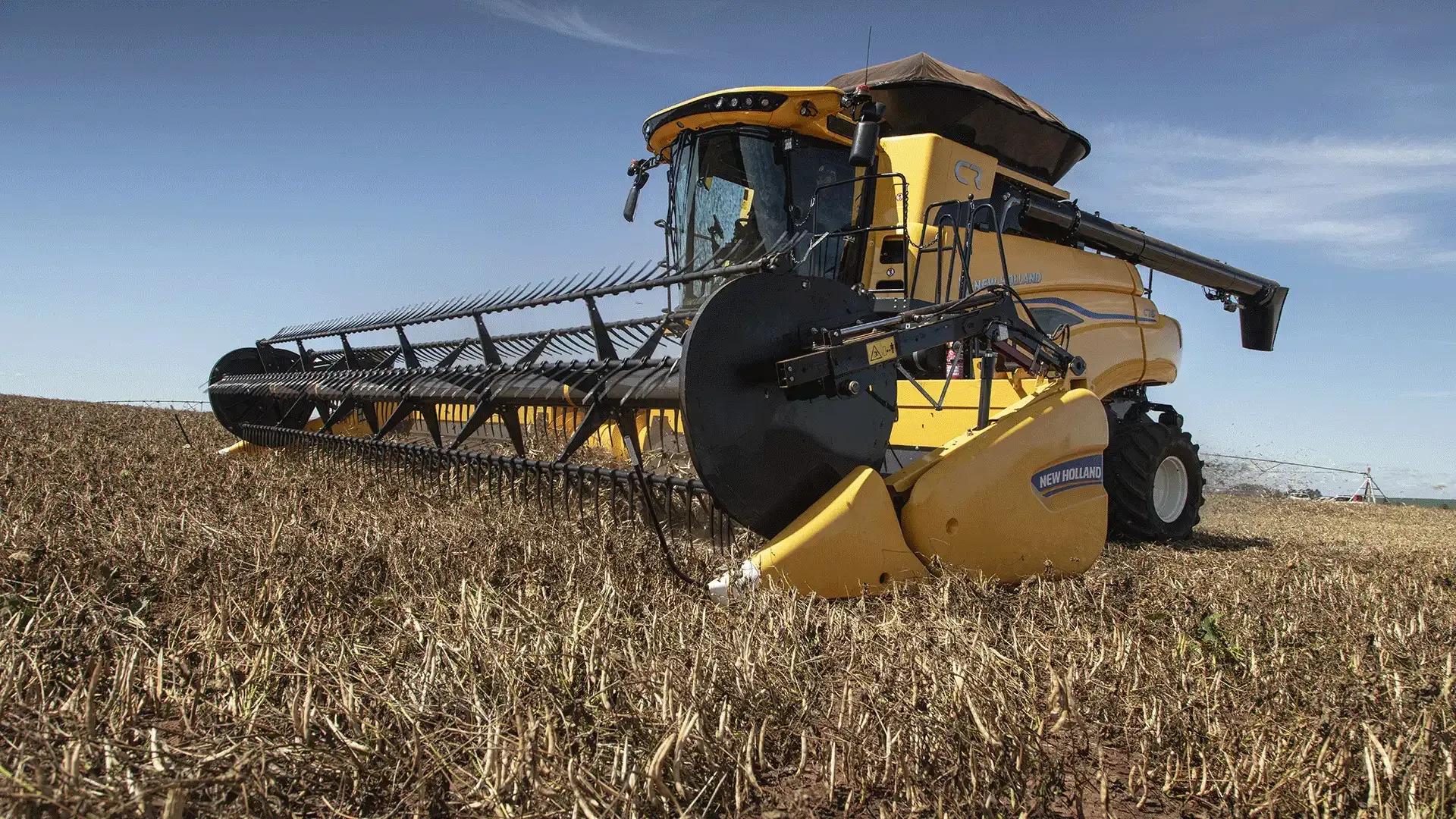 imgi_10_5184f50b39d84977b91e41ea422dc351