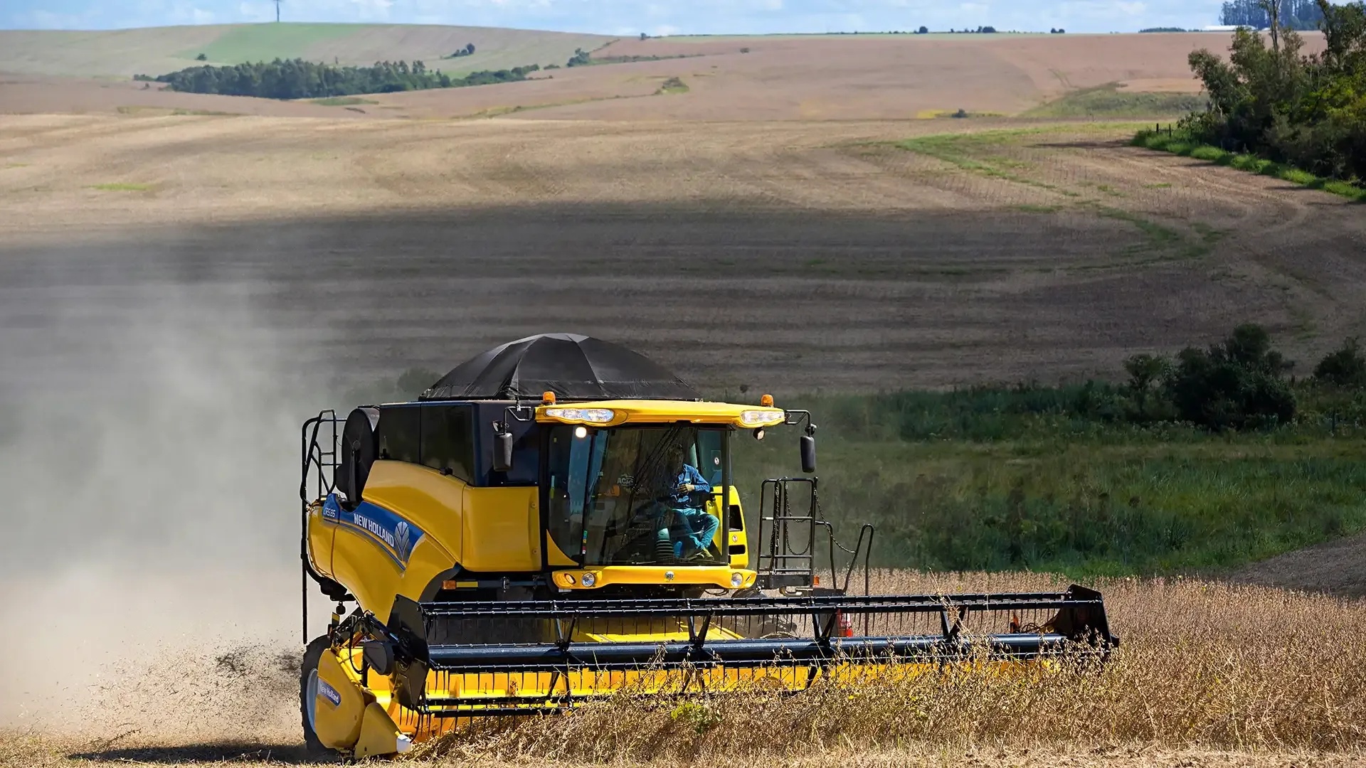 imgi_10_6a1b7409f849411da0c5ceb96de7703e