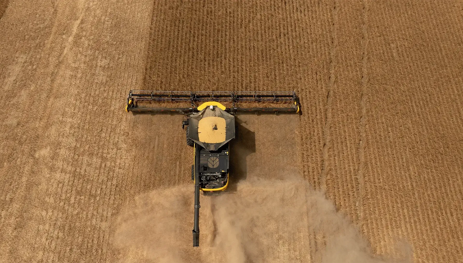 imgi_10_e8ecc4325bf84b808013c0a9b43db701