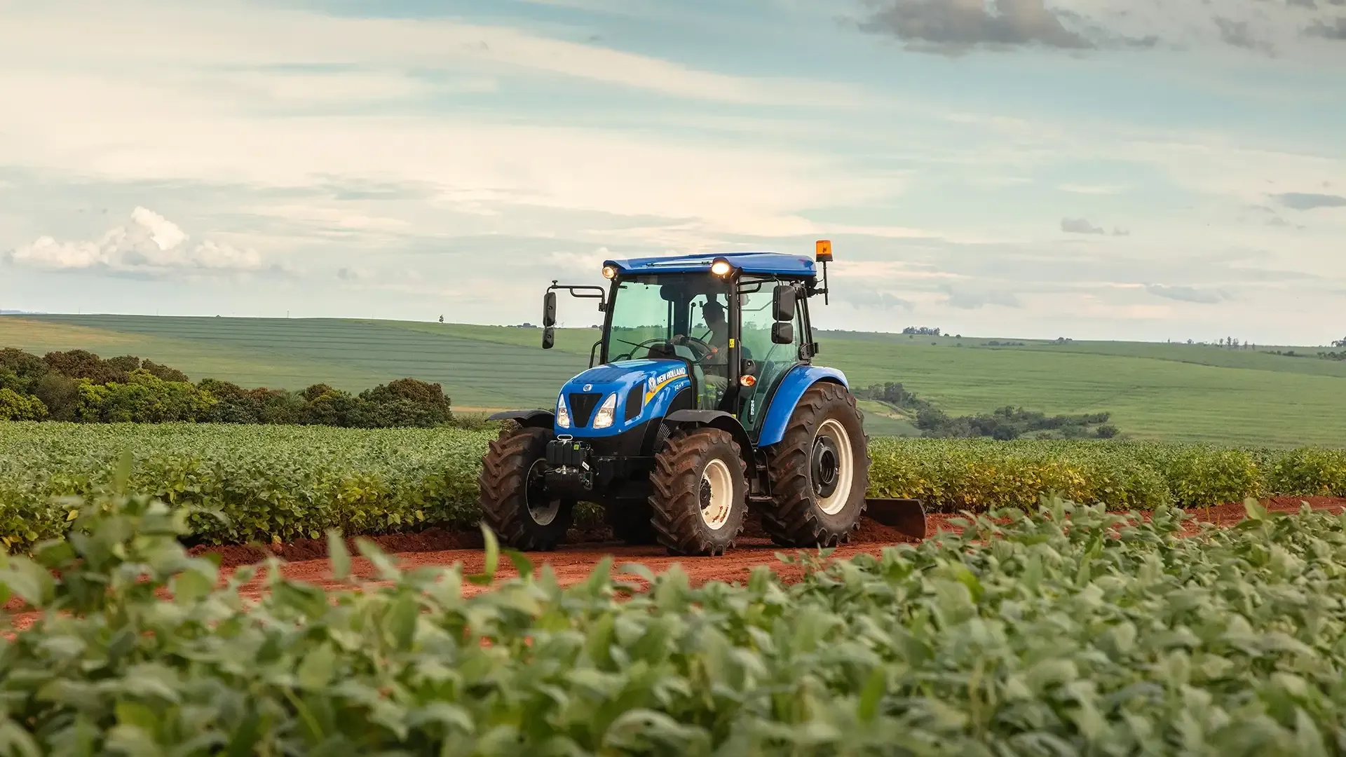 imgi_10_f7c7a05bd07b455196e1dd9d36c1c5f9