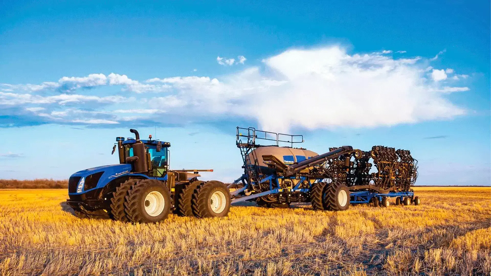 imgi_10_ffdee3f86e864038b77eb35d54aa3cdf