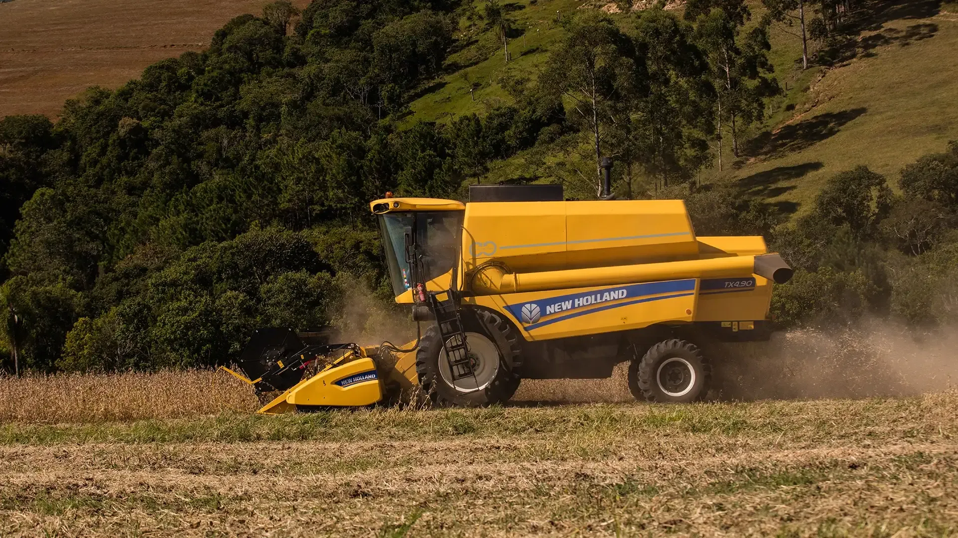 imgi_10_ffe6577443c84f65926cb632166adde1