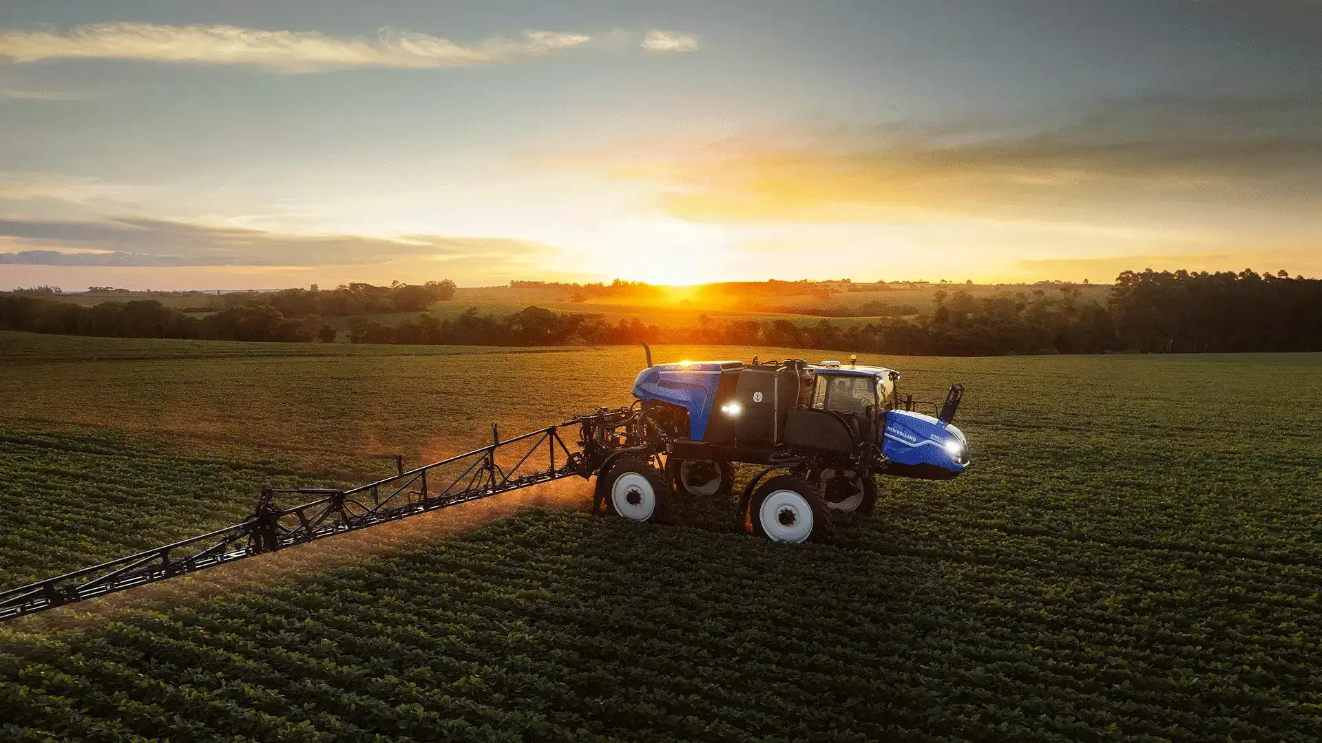 imgi_11_2d73e0f86d344a6cb211a3af0d4e4ca7