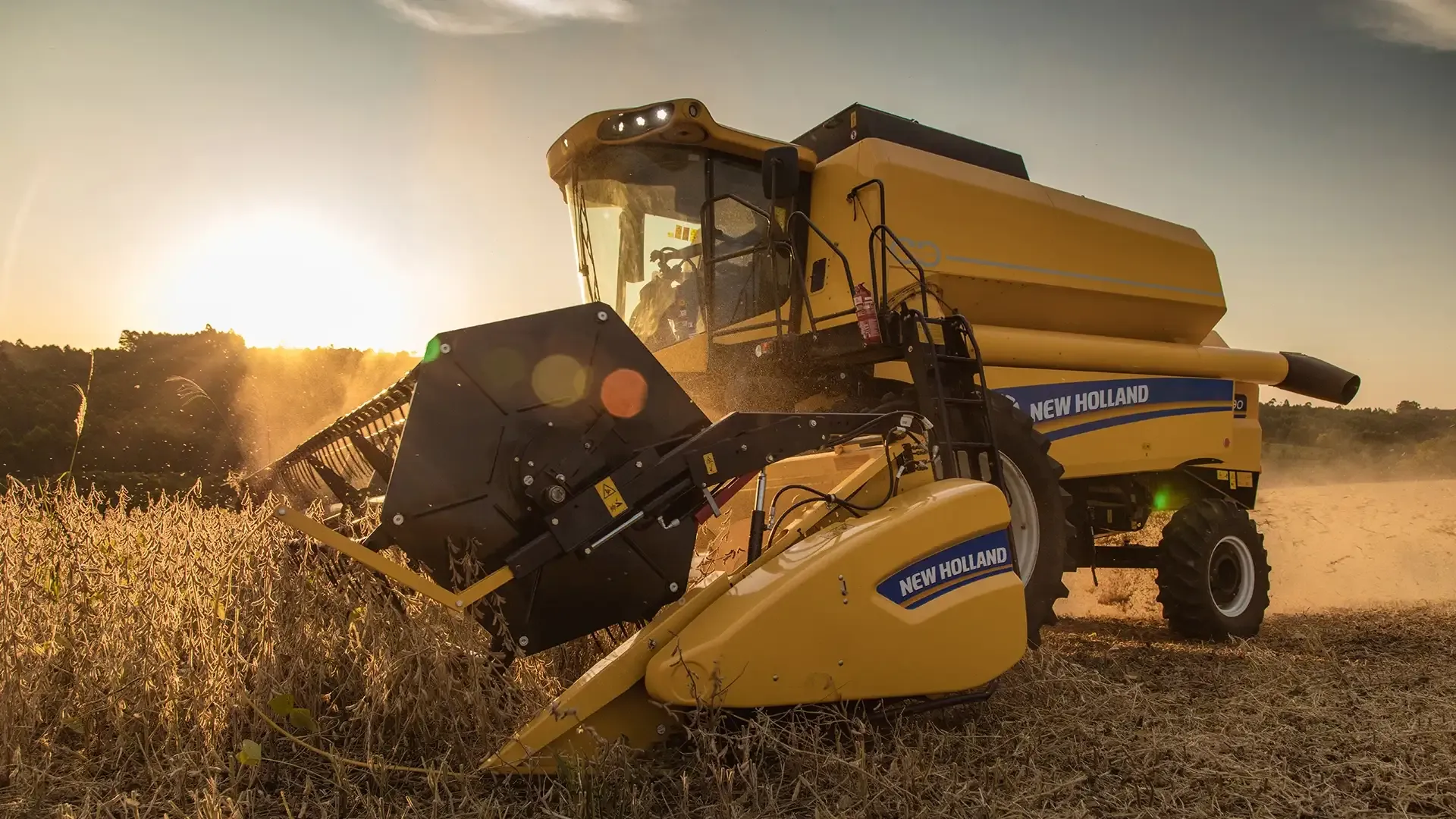 imgi_11_6da2fe582e8a4717bb206afc3f2fec1c