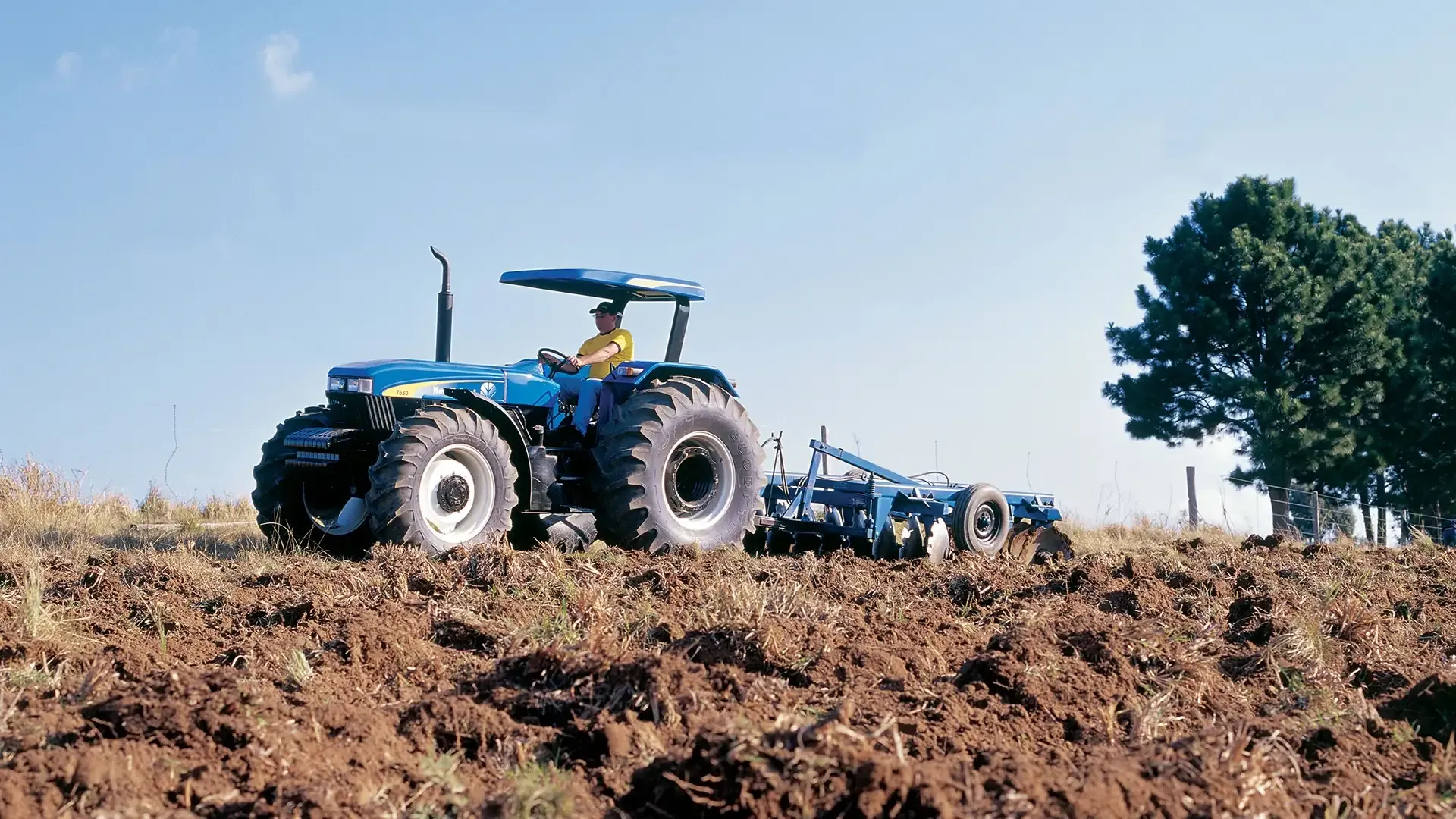 imgi_11_768f592fe39b47c799ceaa51a23cee68