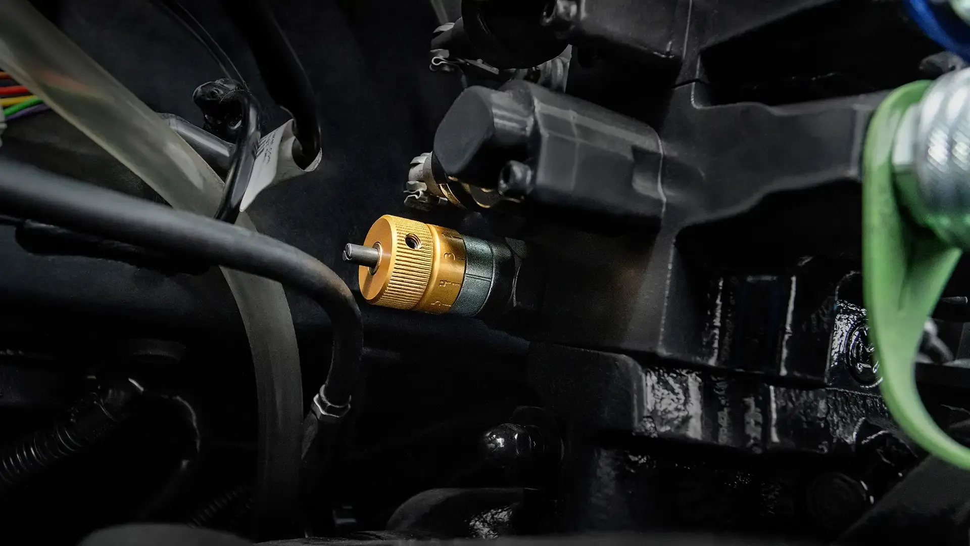 imgi_11_81ffd2704f764fd7a12682f798c30b45