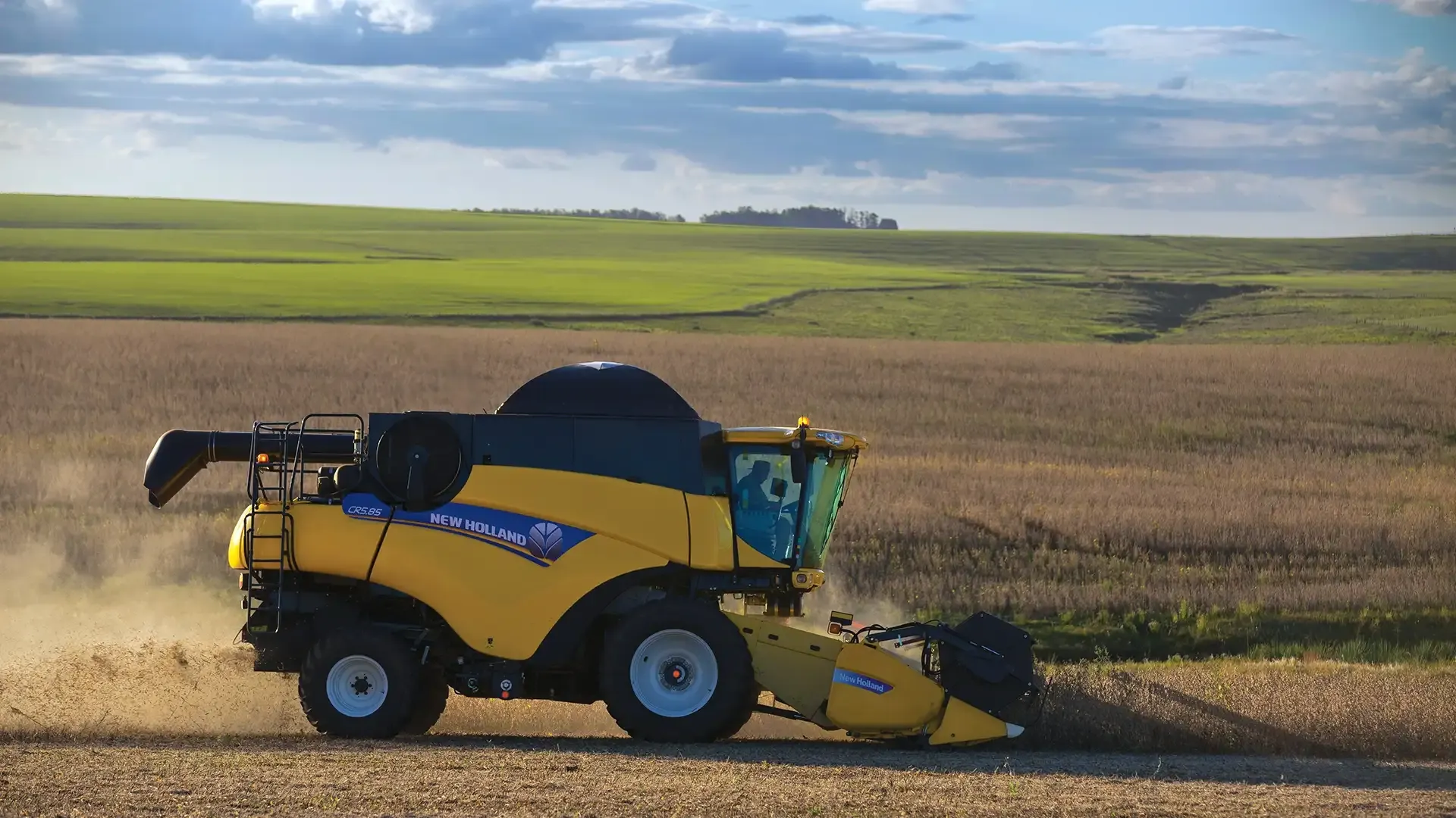 imgi_11_8af0684fd353446284ce5d06406e5ce6