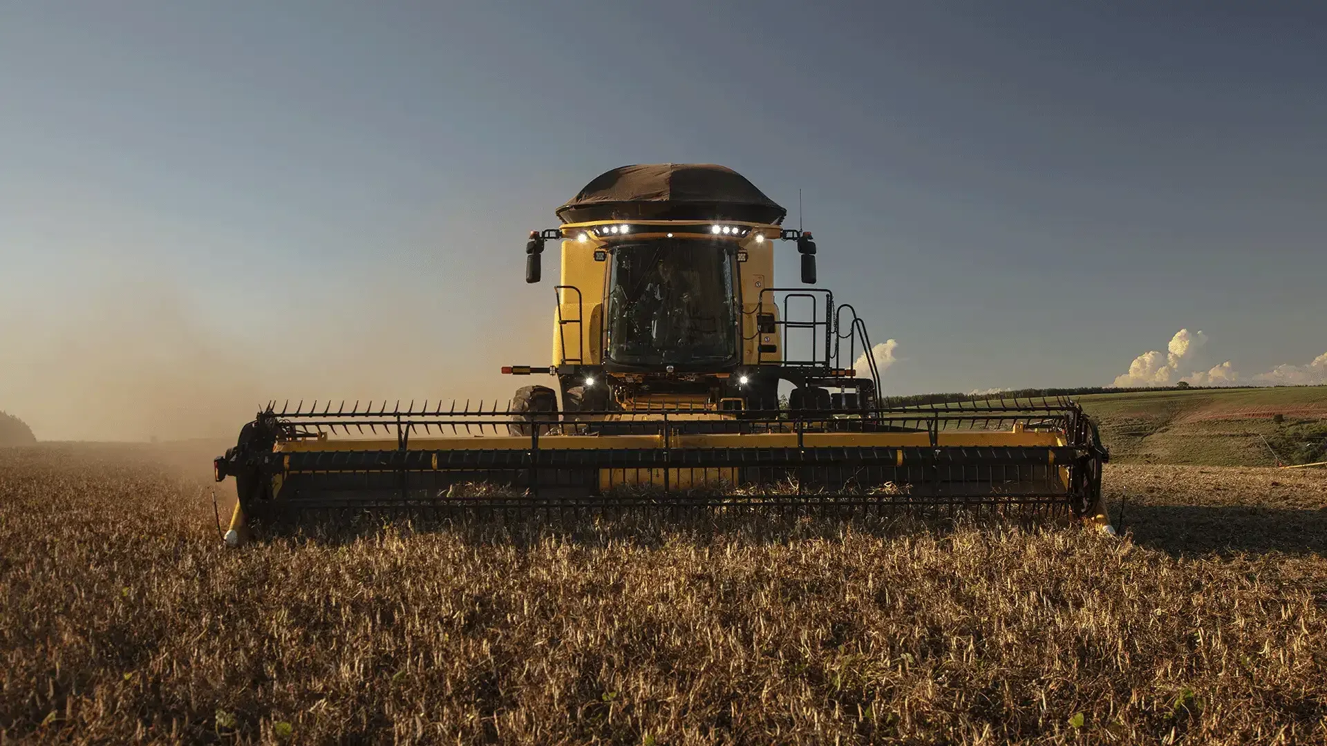 imgi_11_bf7194a53e614a6dadd3271db6eb966b