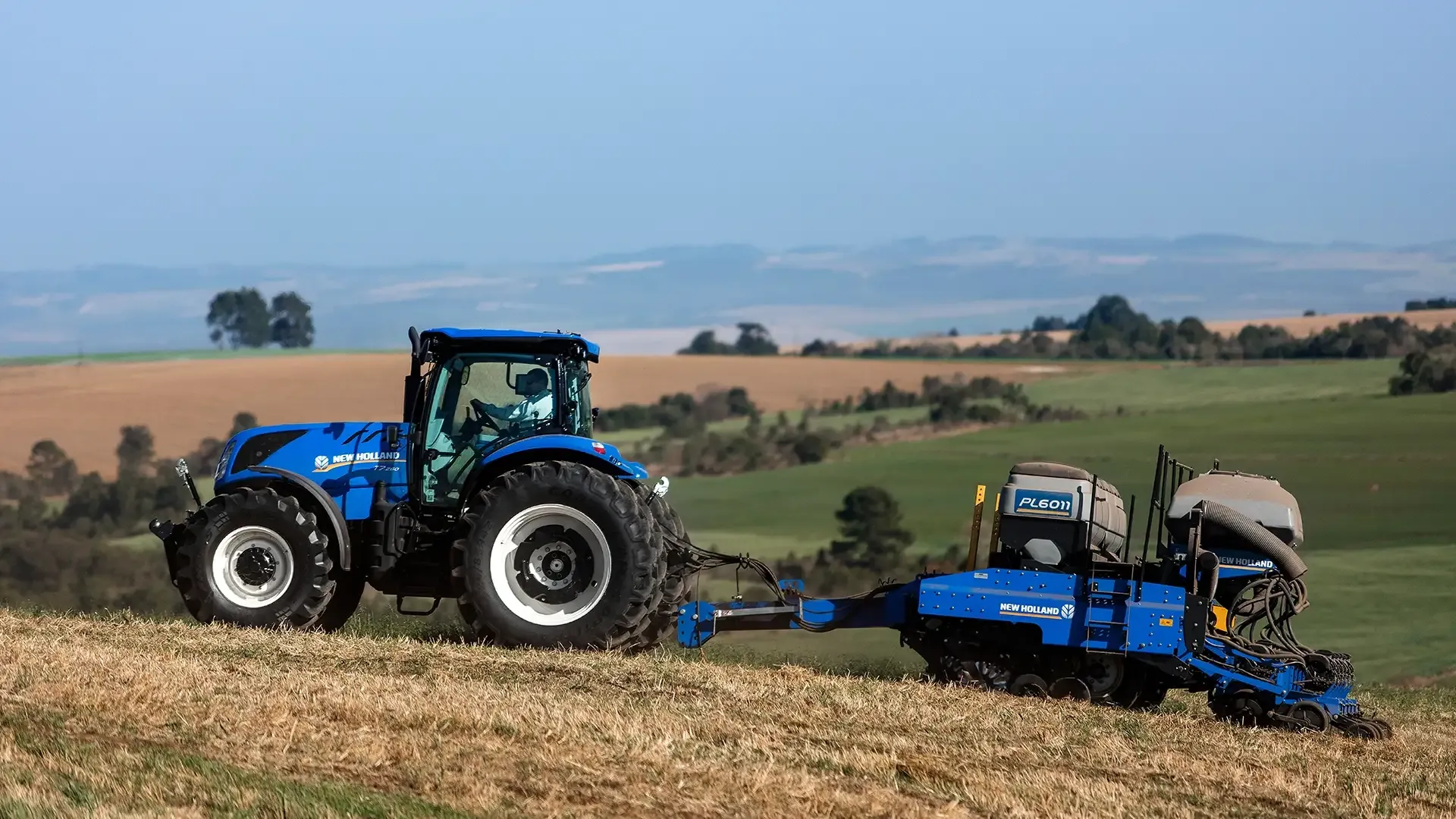 imgi_11_d29e1e51f0954b75a99de6dc2363089b