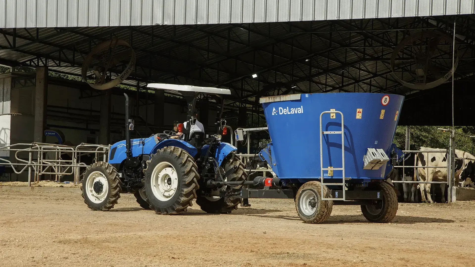 imgi_11_d557c85342084471a59ebf37afad5971