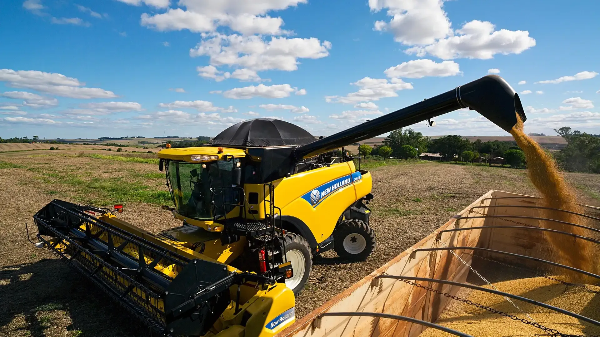 imgi_12_0f1fbdb721114bc493ce15d039577999