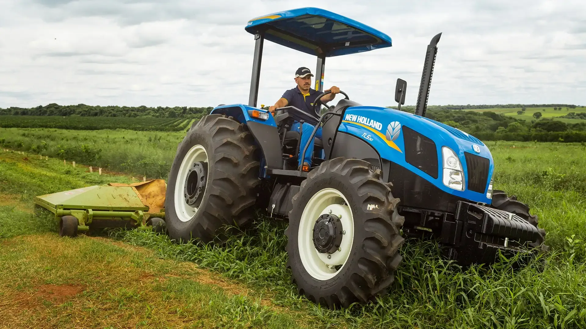 imgi_12_9c11ea5f173444f4a50dd3609d2a84c5