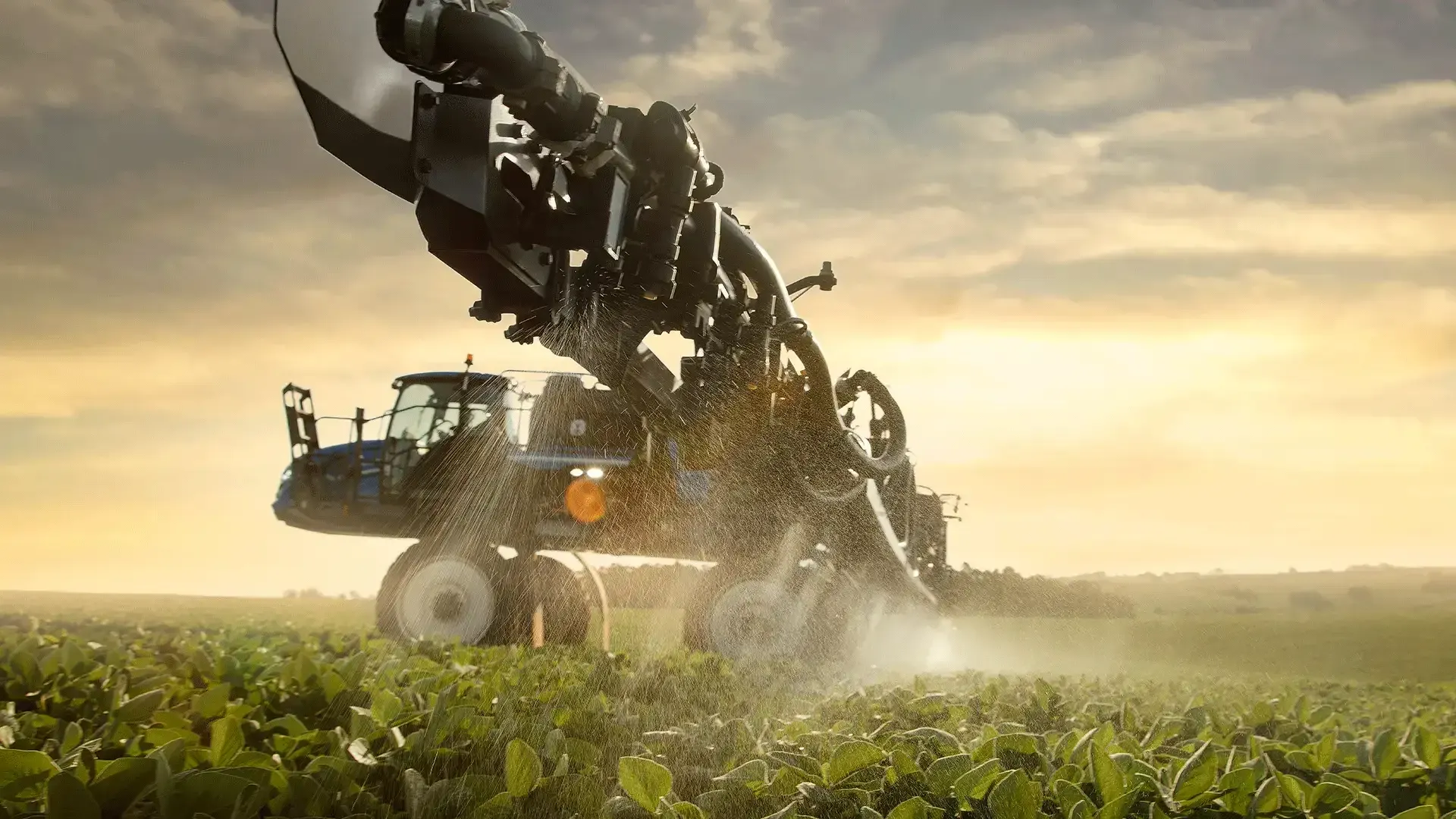 imgi_12_a305e1a793d54f16bf9f35473ecb092a