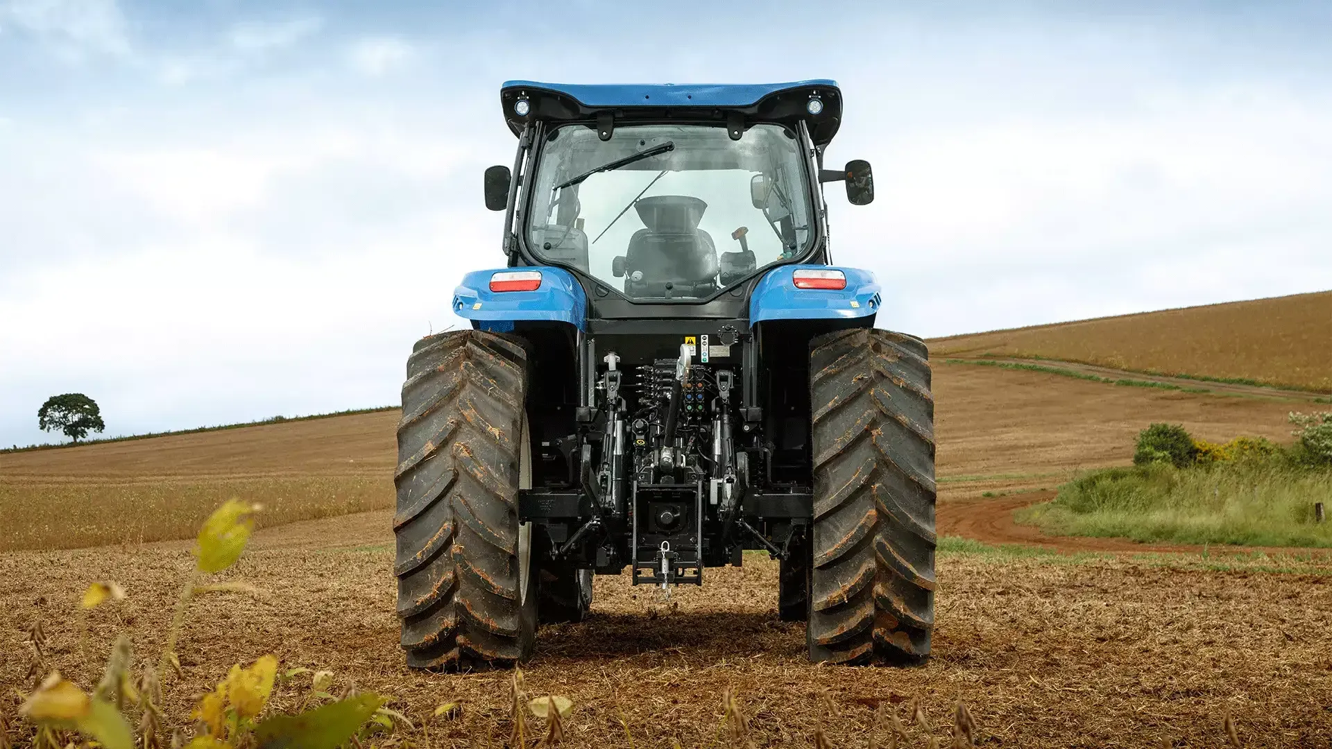 imgi_12_b5c2409dc2e14a56ad18f1e2b7fbbe80