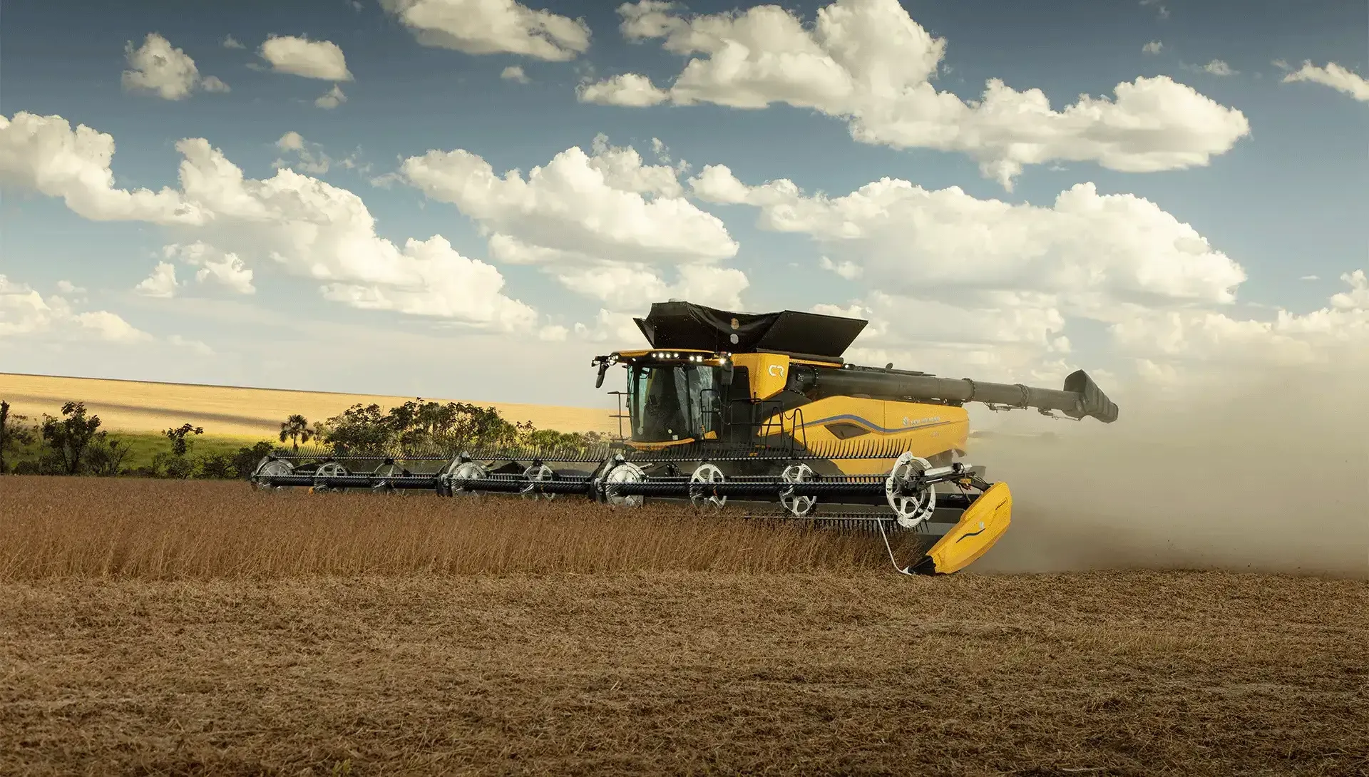 imgi_12_c0e92155f7354b799d4eb6777ec41160