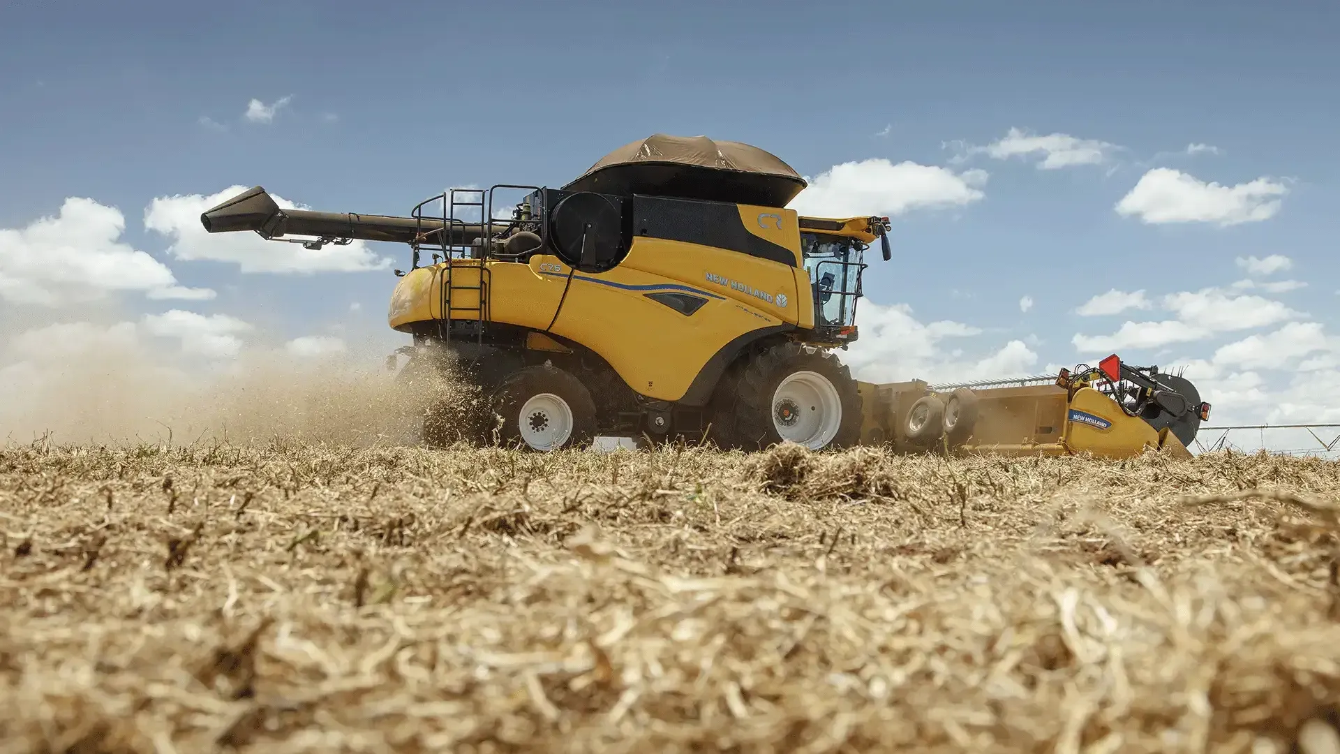 imgi_12_cb31a6f316f2455694faeefb3dd8a471