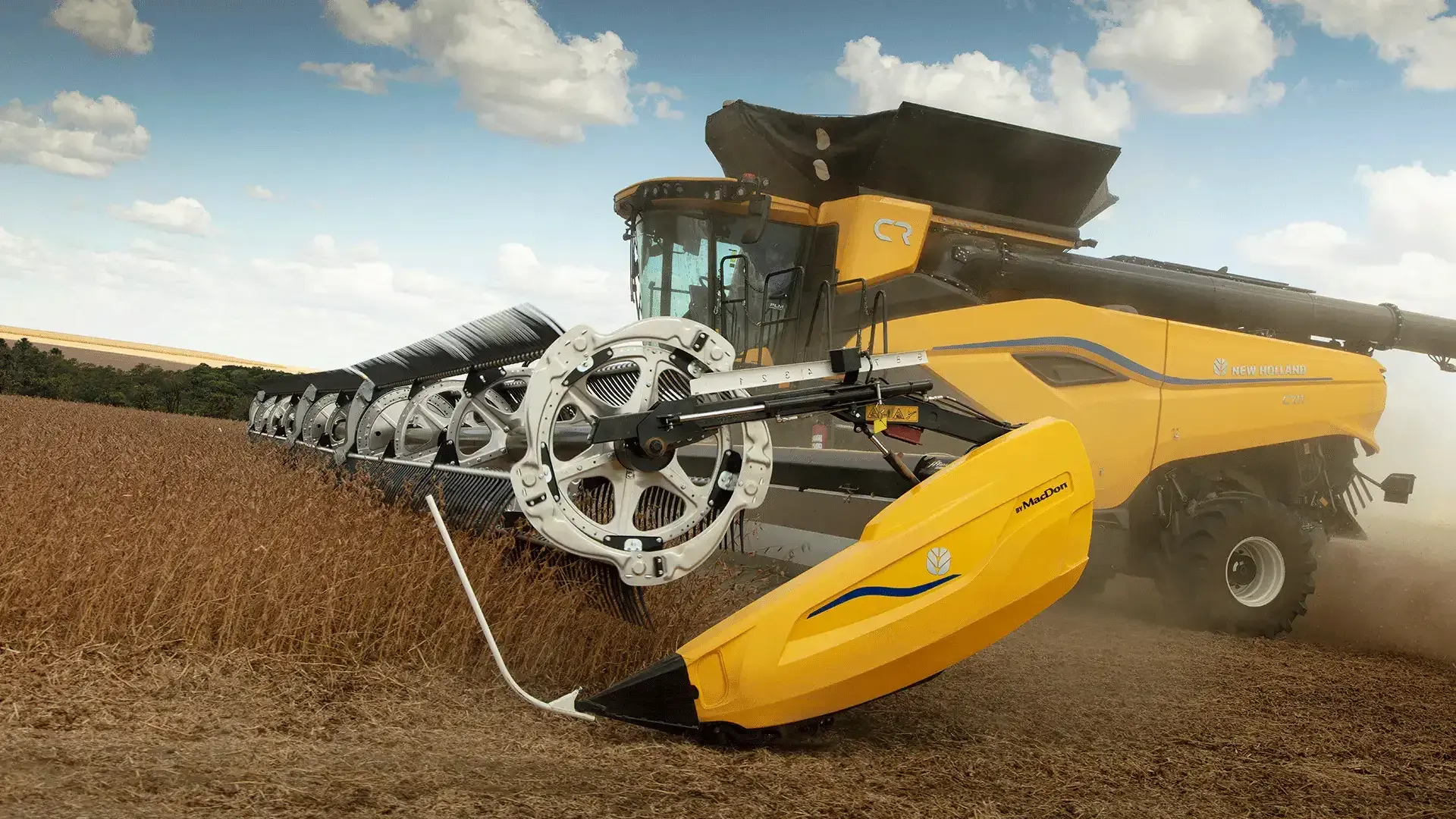 imgi_12_cb351b3a6ed94d6f9f2eb952da68f185