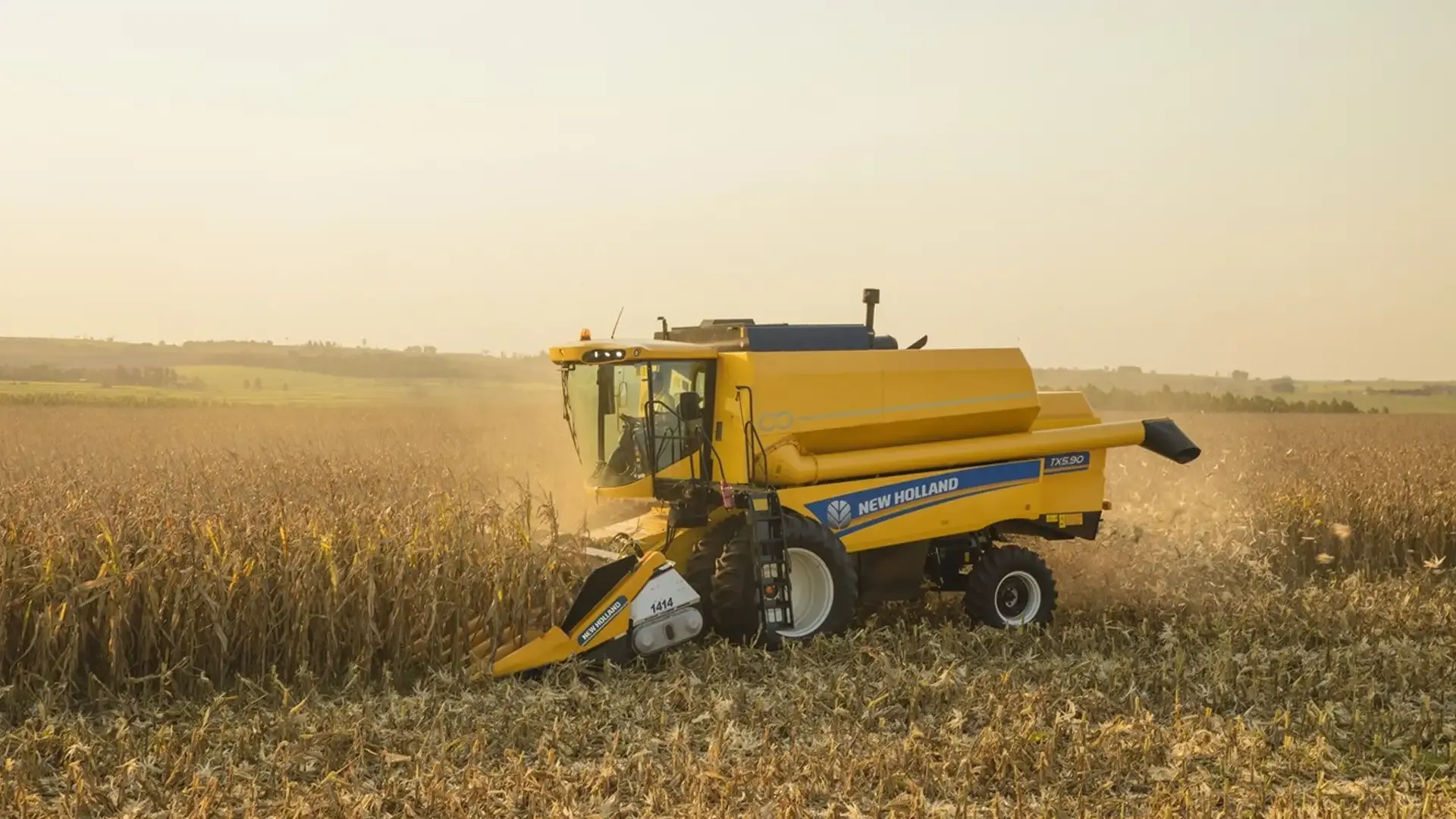 imgi_12_d6936de17be1402d93349698aaabc170