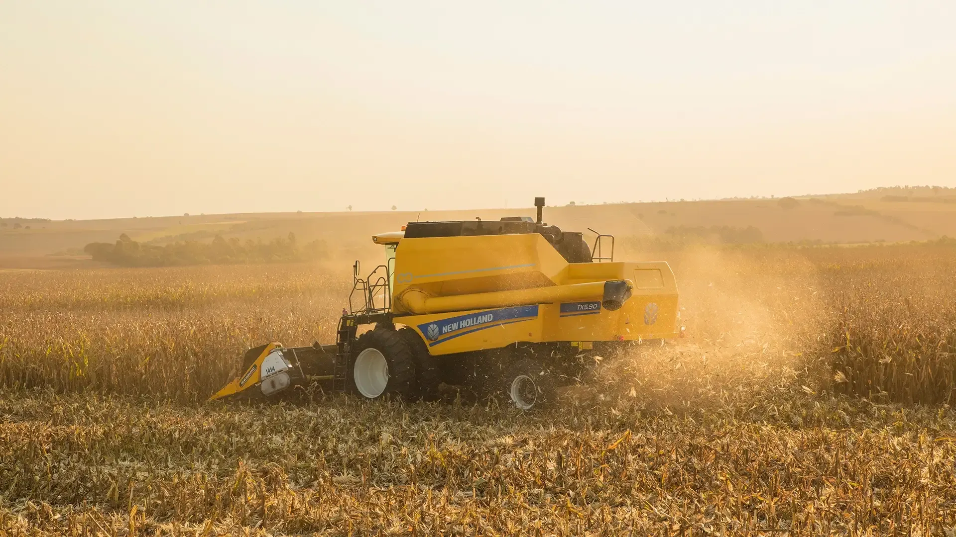 imgi_13_80de036afb6d4c4b9f1959a5e032b307