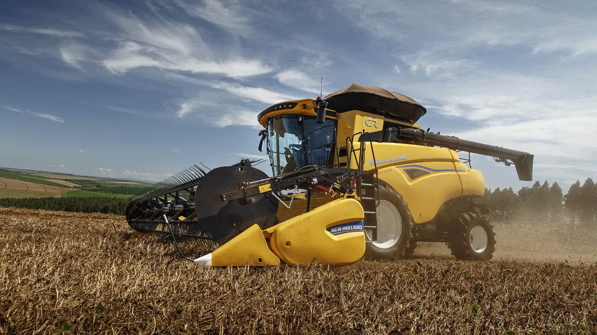 imgi_13_91f8a973c52d4052894a525882f63b52