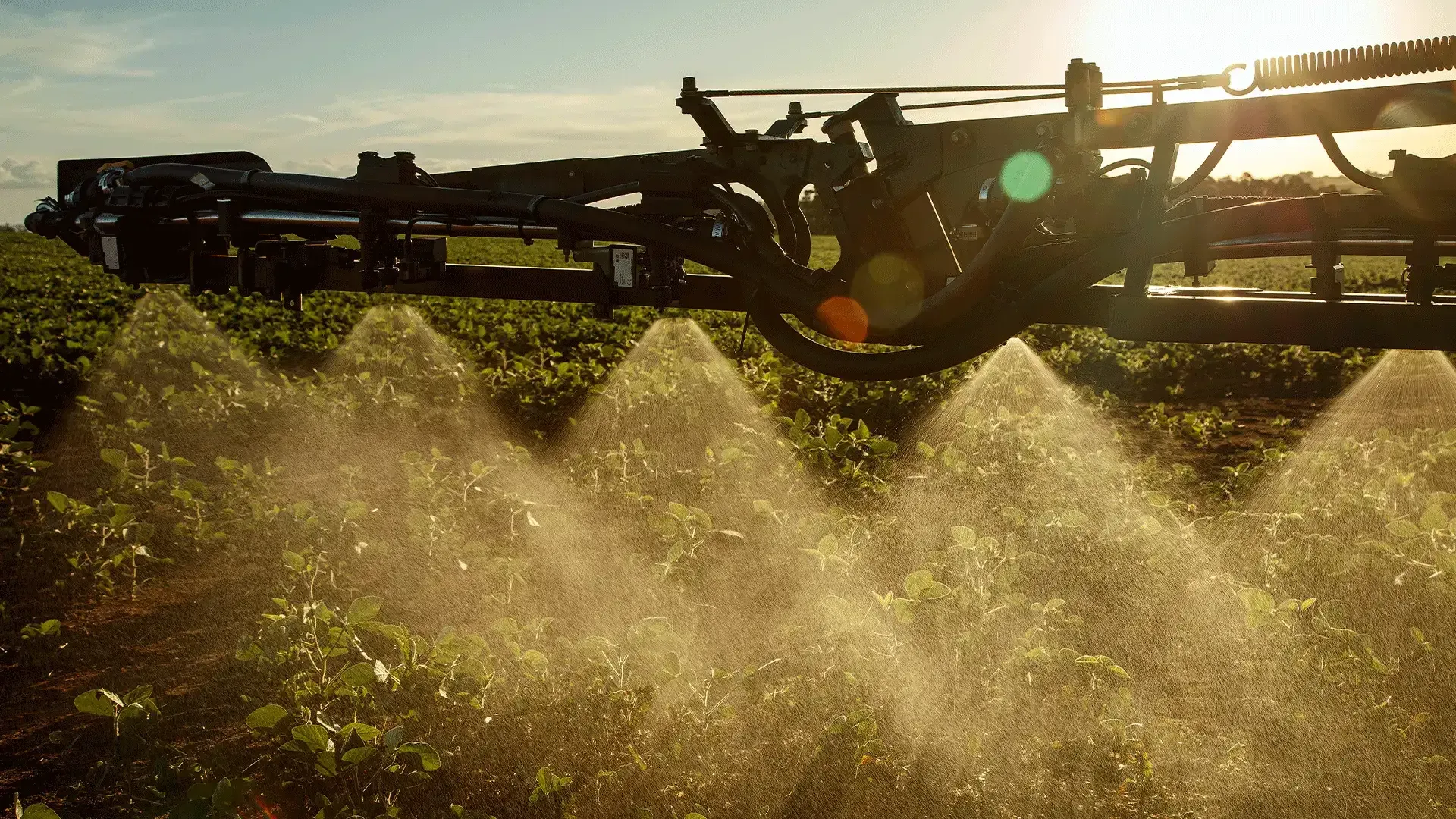 imgi_13_bbc9e59a0acb4cd585913eb98d03d27d