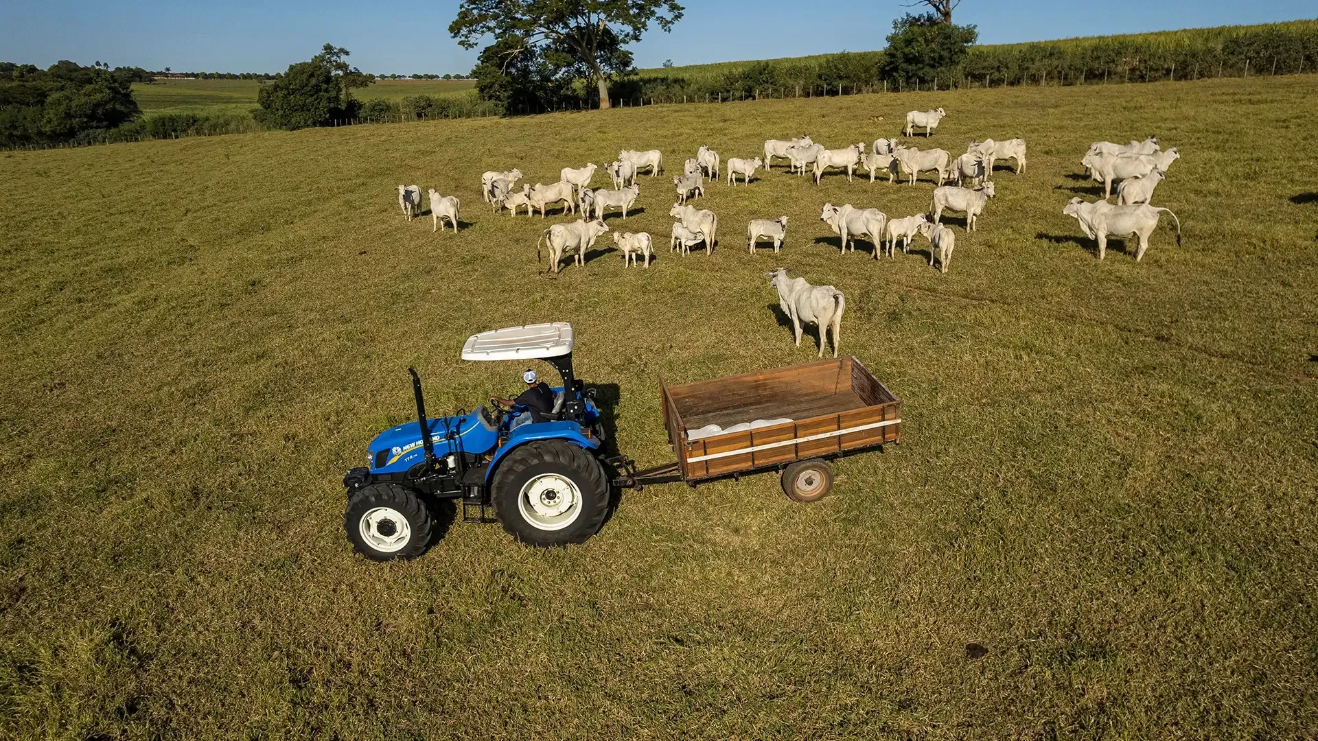 imgi_14_1eab8454671a4c90a89217e34abcadf3