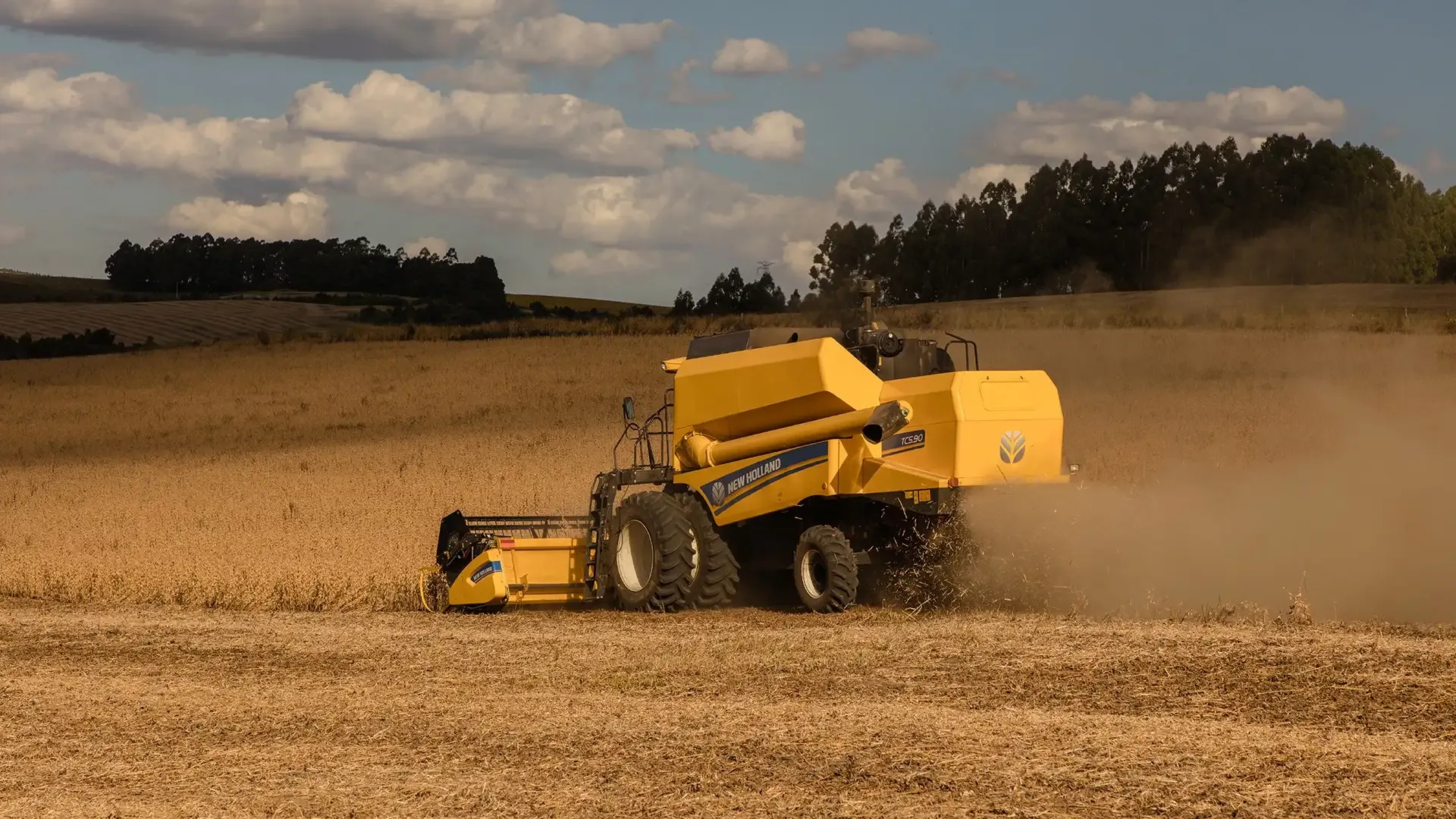 imgi_14_a4df7bc751464d4fb38c331ff73863c9