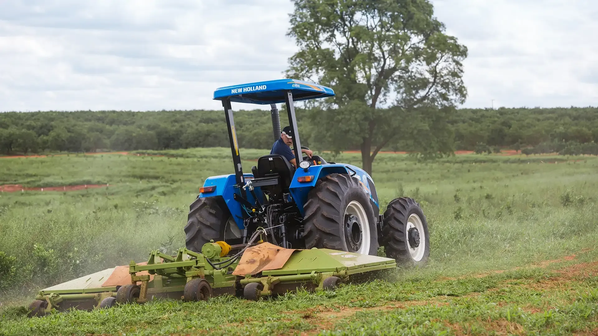 imgi_15_469d643f426942d79bd5e60212058ef2