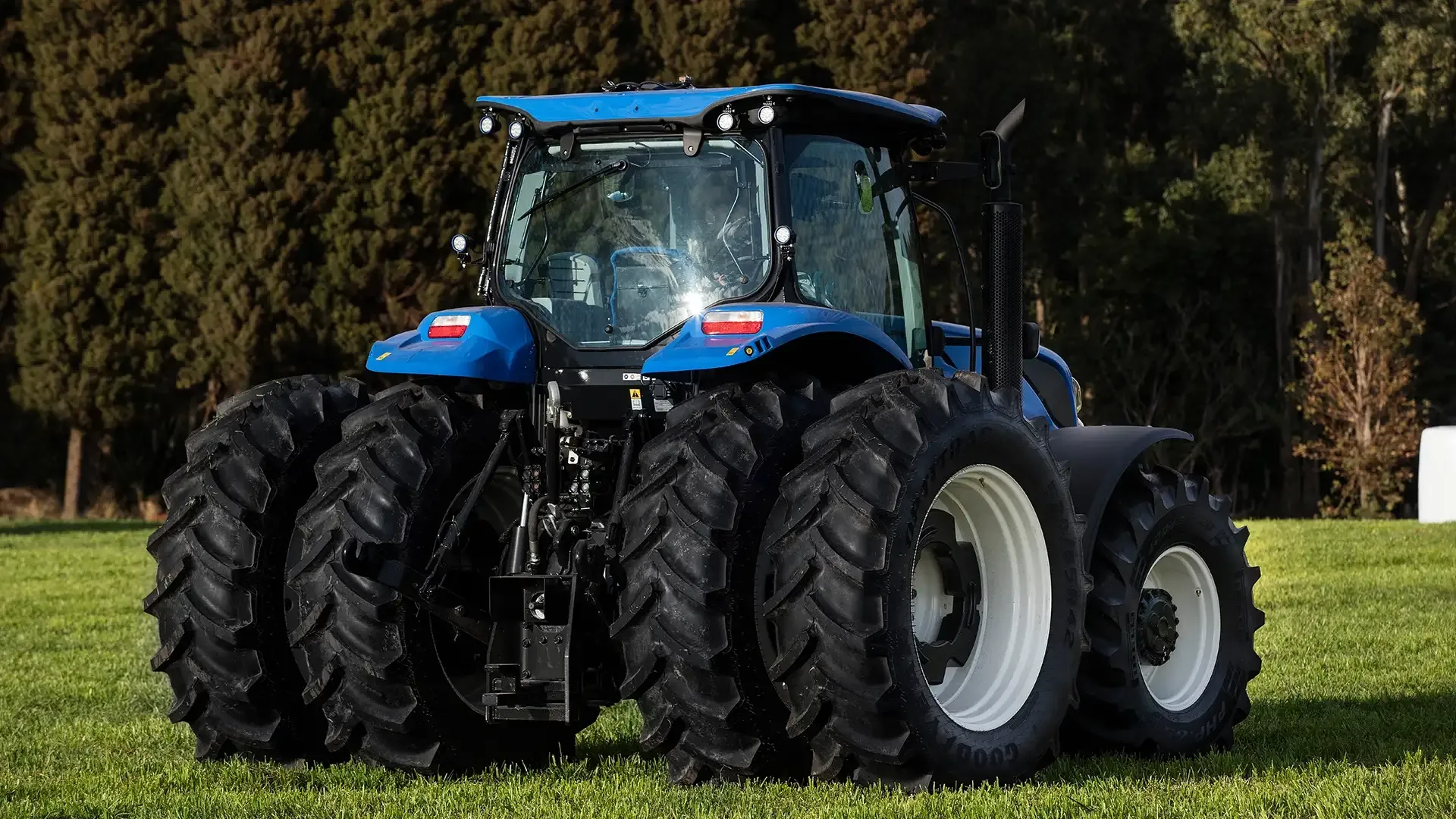 imgi_15_52e9b8864daf493db2116f3bb08c84c6