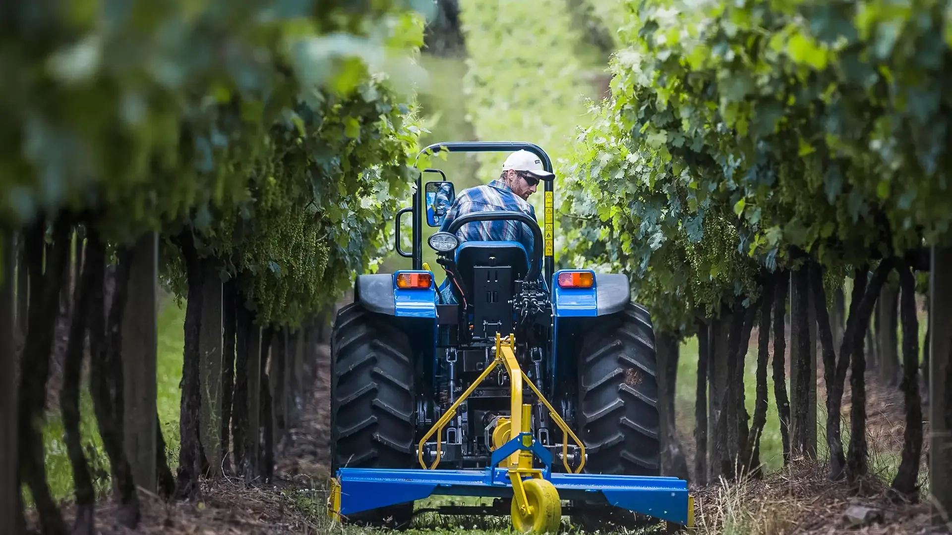 imgi_16_bd39e06c69634dd2bbde8e8c15600484