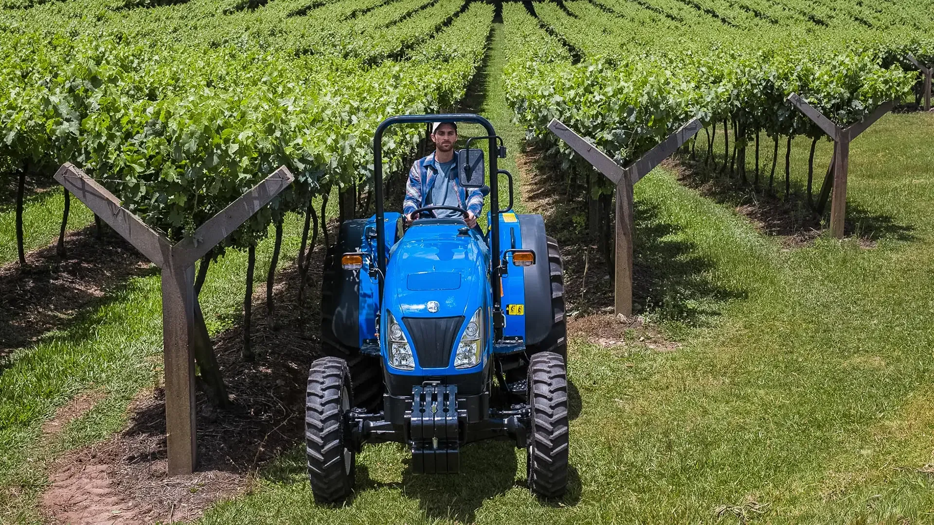 imgi_17_c65ff5572f7b4840b26603c62d94ed5e