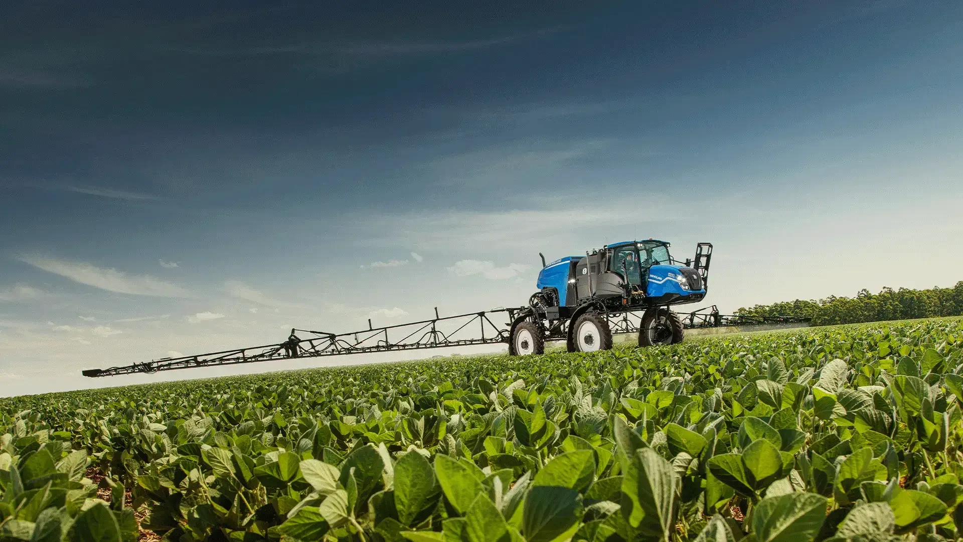 imgi_17_d62b3063fca0483e846e36f93a9f7cbb