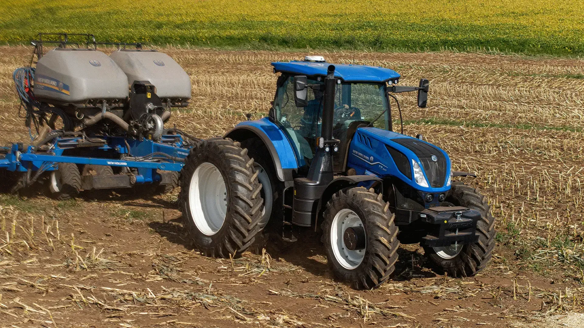 imgi_17_fc0417a2aa4d4206836c82c1d5ac0f92