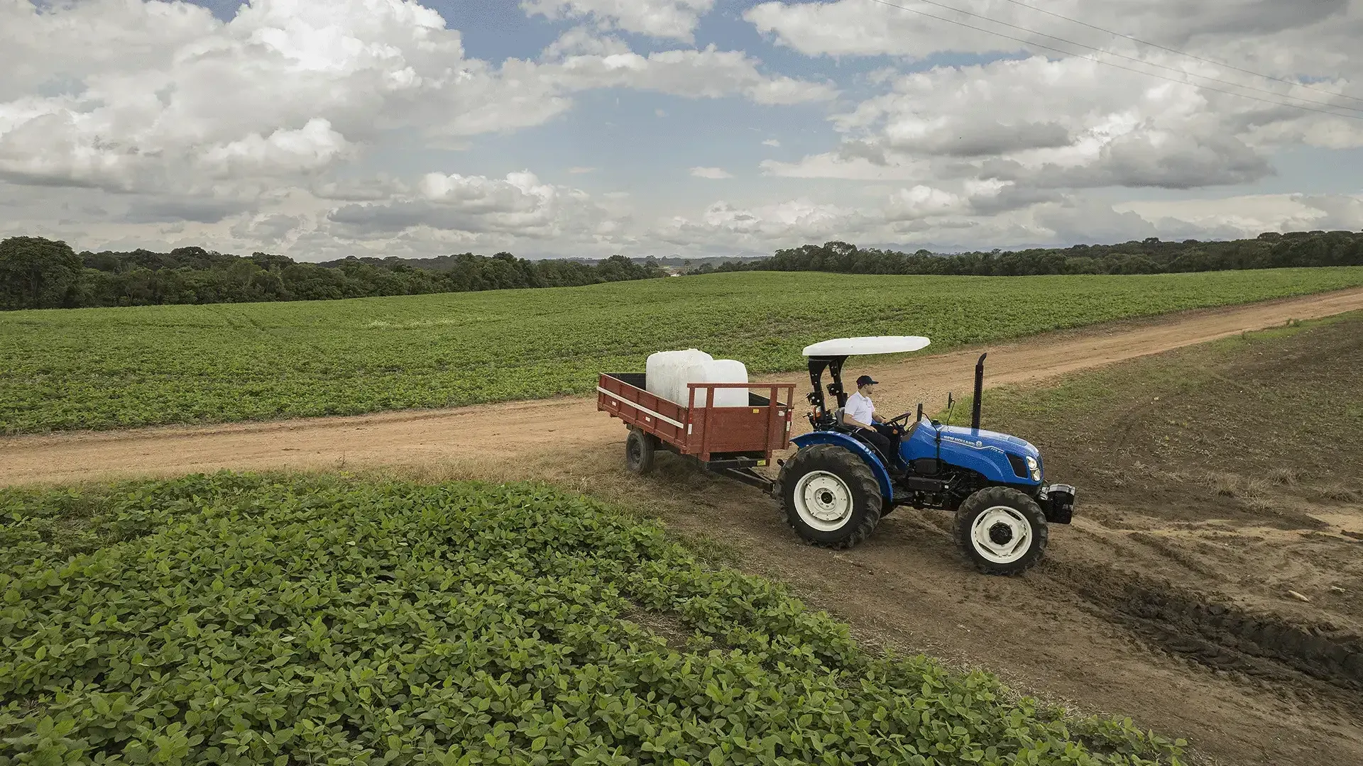 imgi_18_7e98384cb2154dbeb411e0ed72865fb5