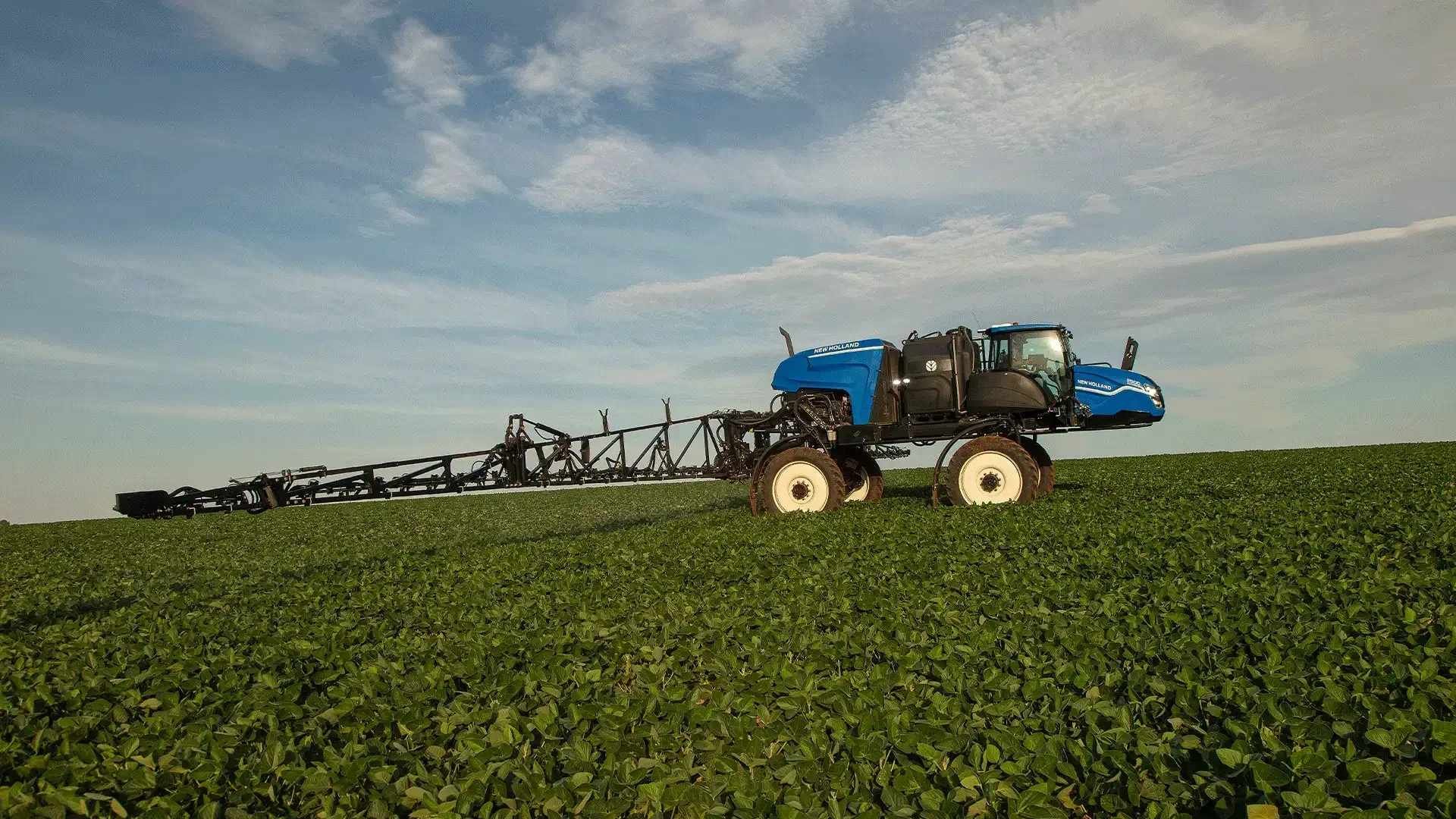 imgi_18_e7da661d99ec4f1c8b3d70603d9069e2