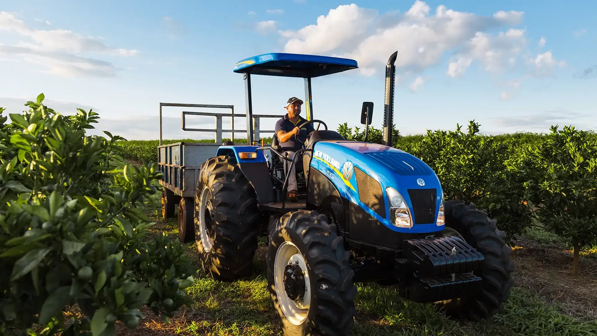 imgi_19_192beb9a0d194bd5820591ff60a5f8a6