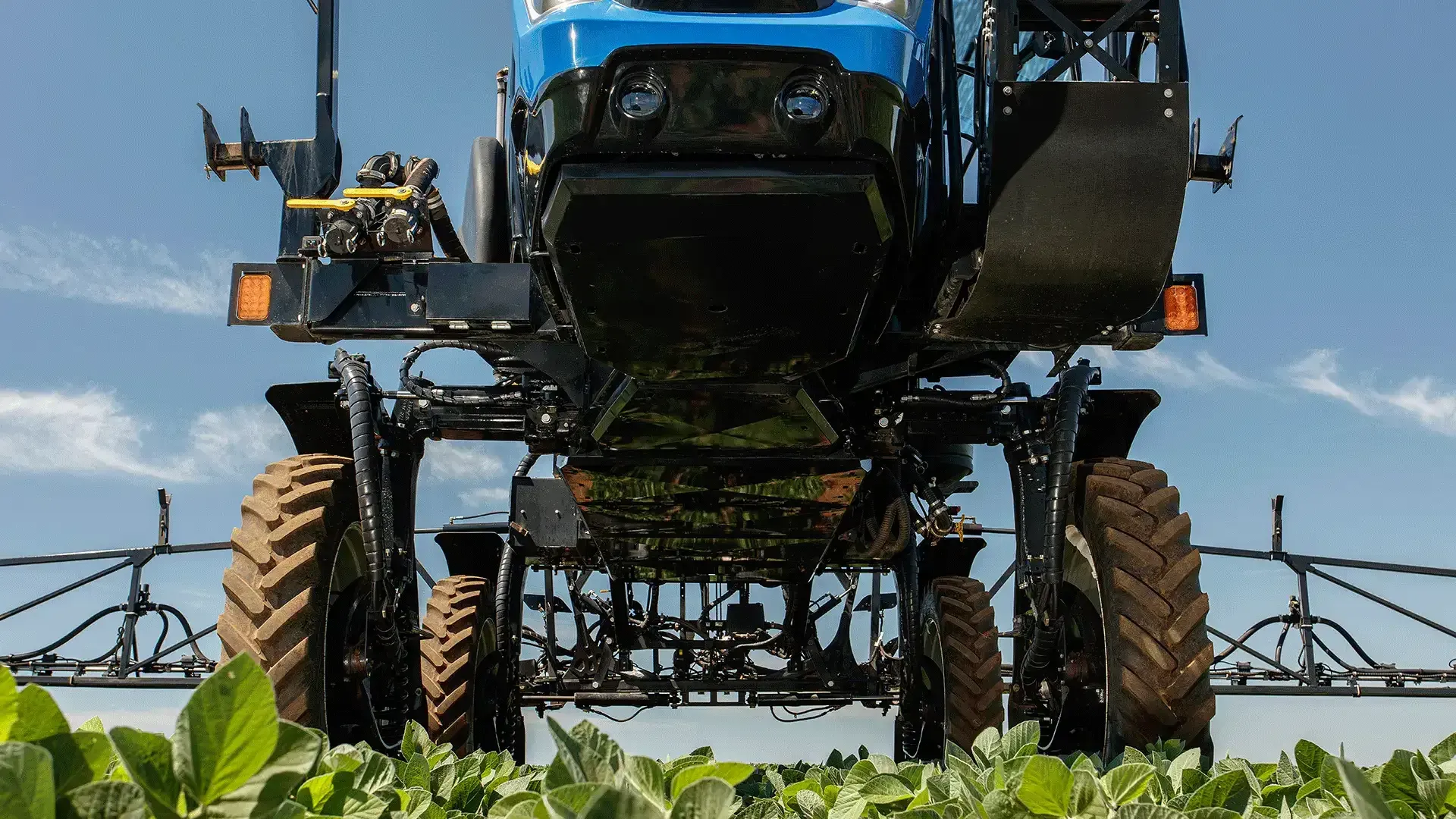 imgi_19_828700dc6baf402da83458d01c5d21d8