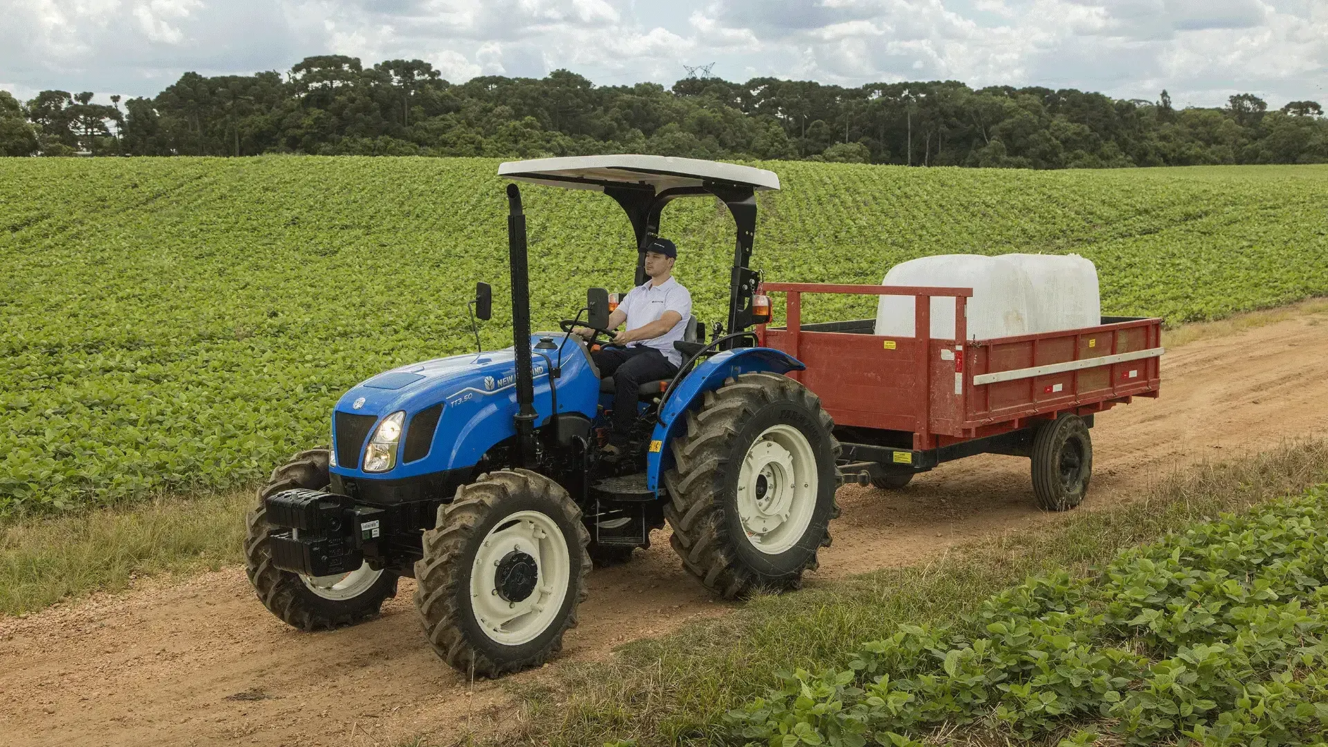 imgi_19_881a741fa6464fc0a1a8dd6a41895c64