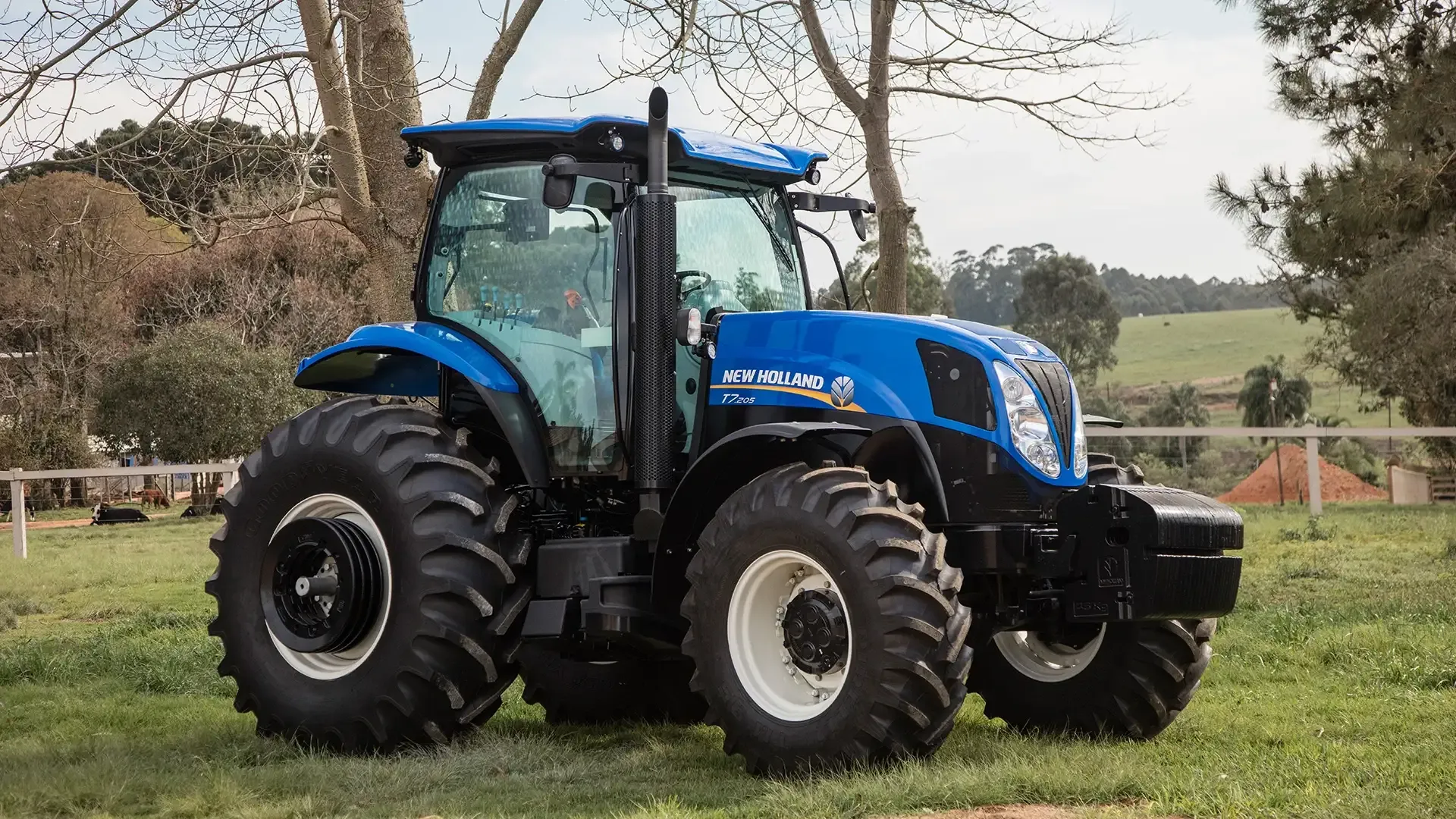 imgi_19_baffabe00603472293402e439768fd3c