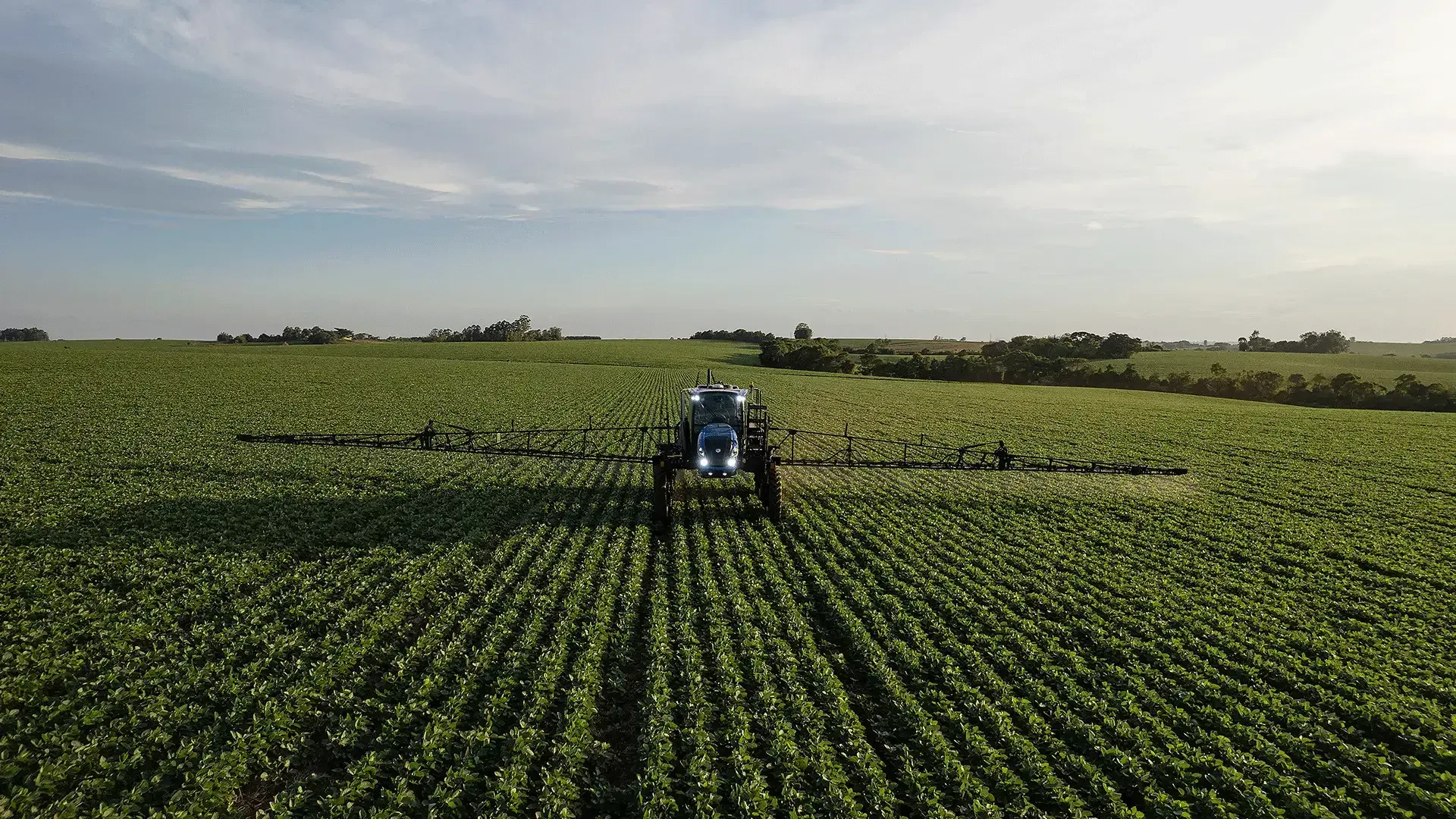 imgi_20_594b96778adf4bdaa79480950f1da04f