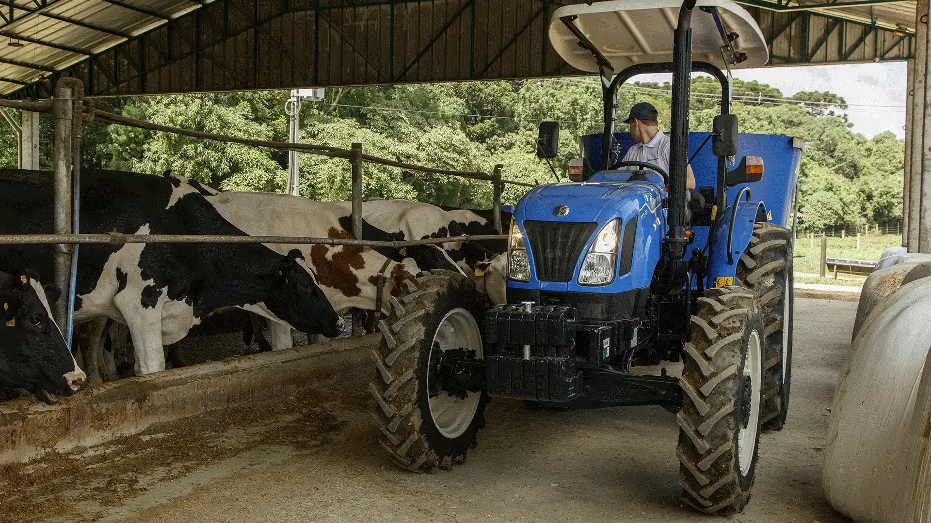 imgi_20_e322c6c9dcae430cb5e31c89f3e89ada