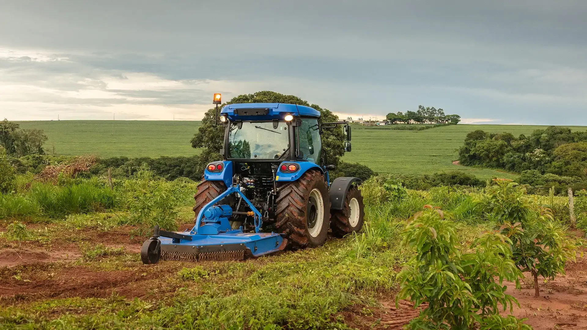 imgi_21_8486867b139b4ab2818b4aa0eba225b0