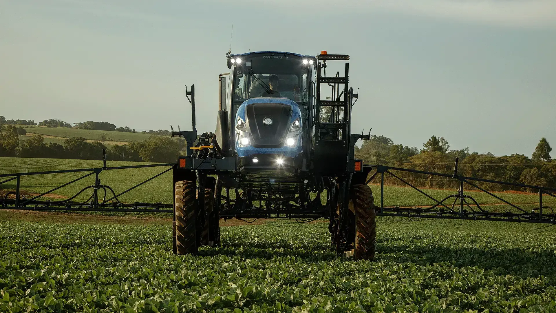 imgi_22_fbbc8c68520f47d9b02b621b3a7b7fdf