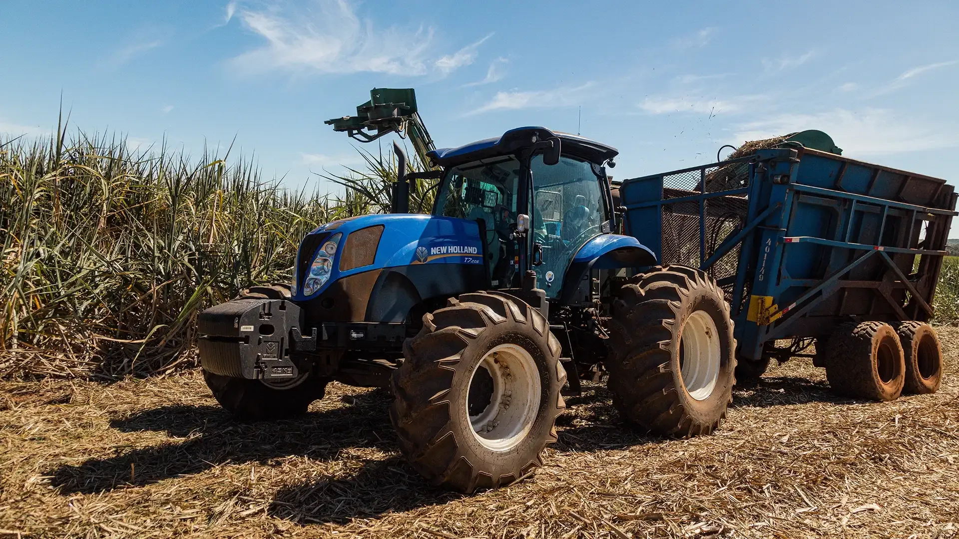 imgi_23_78b99c3f277940cf91cb513475c67a79