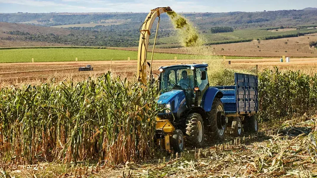 imgi_24_2920dfbc4fe4445a996a191168550c44