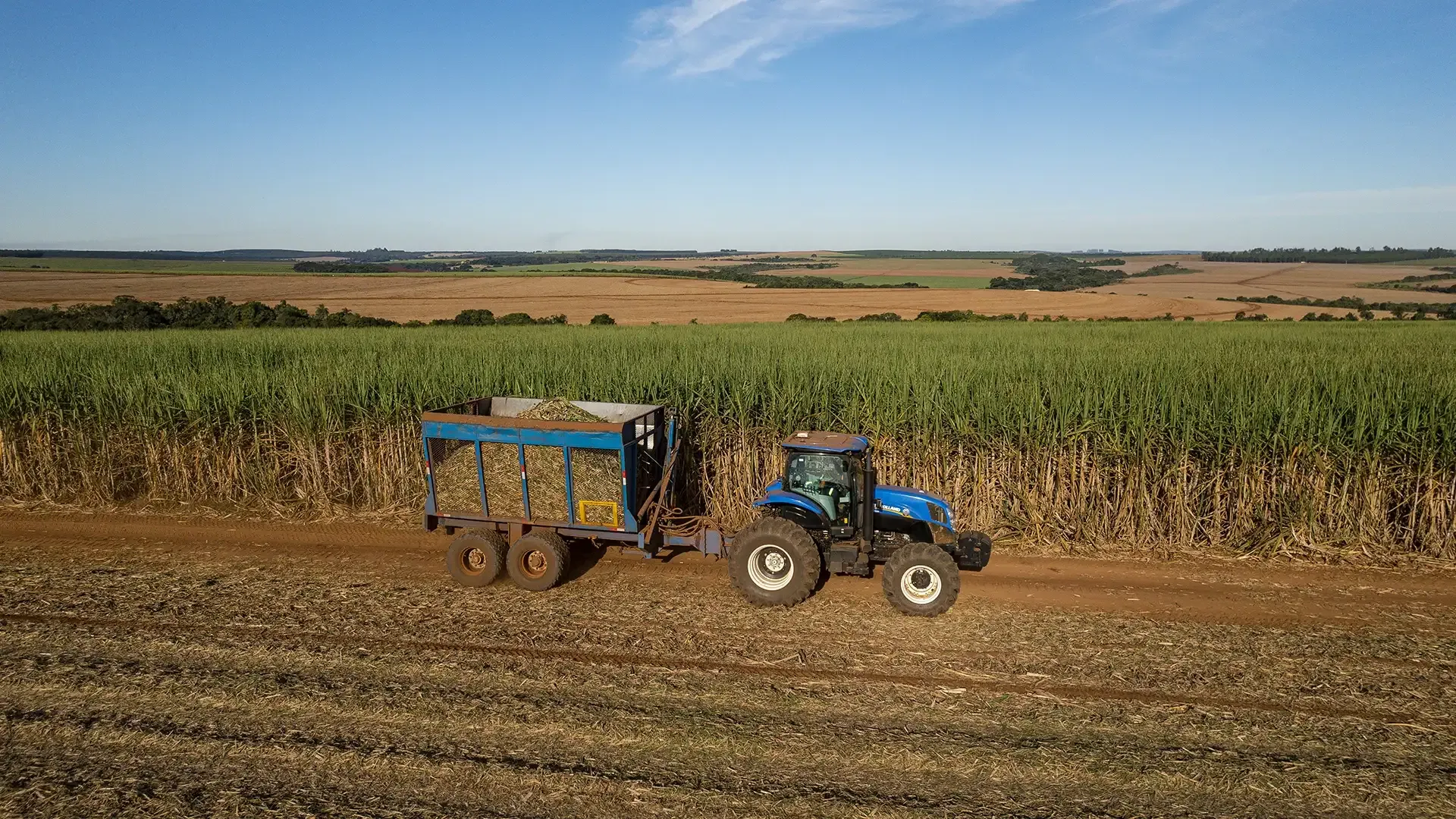 imgi_25_8d39aec5dbc4462fbc7ce14c9cc875f2