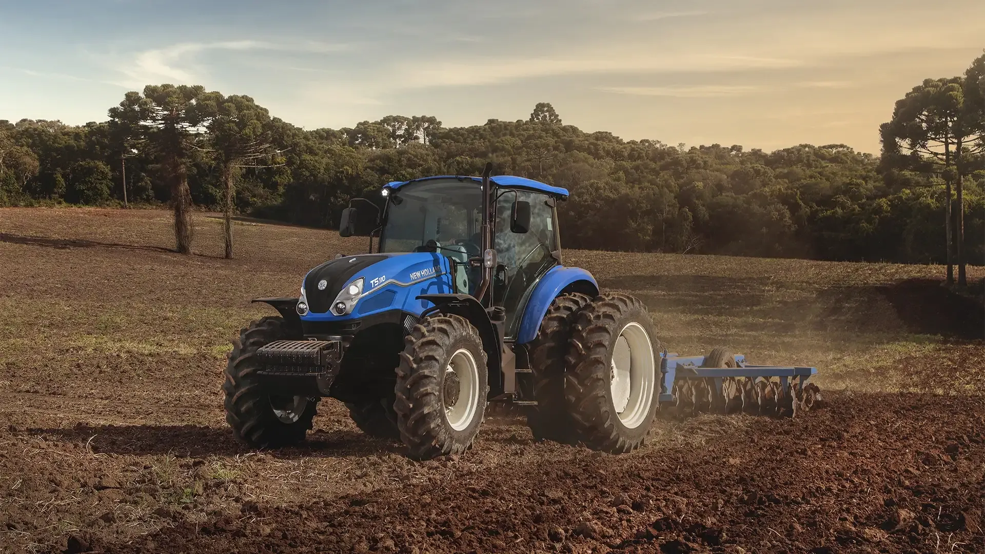 imgi_26_85491ffe4be94b36be0e58817574e29b