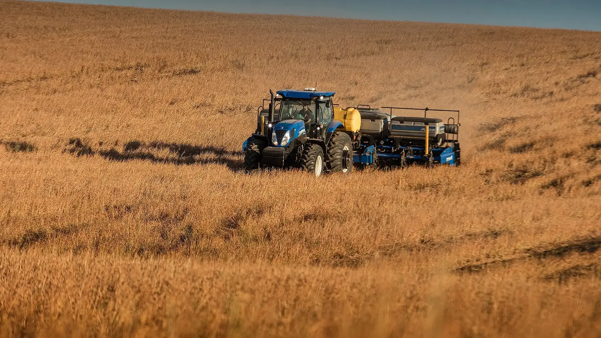 imgi_29_fa57df4a752f44c886c112b2e9e2a3ec