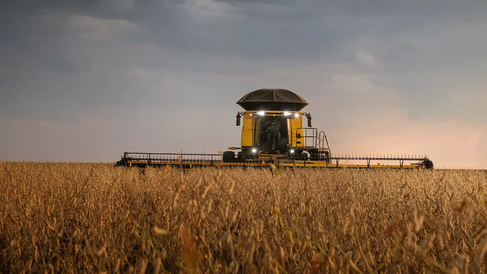 imgi_2_40ea04405fa541f1bd9ece372e7d5c8d